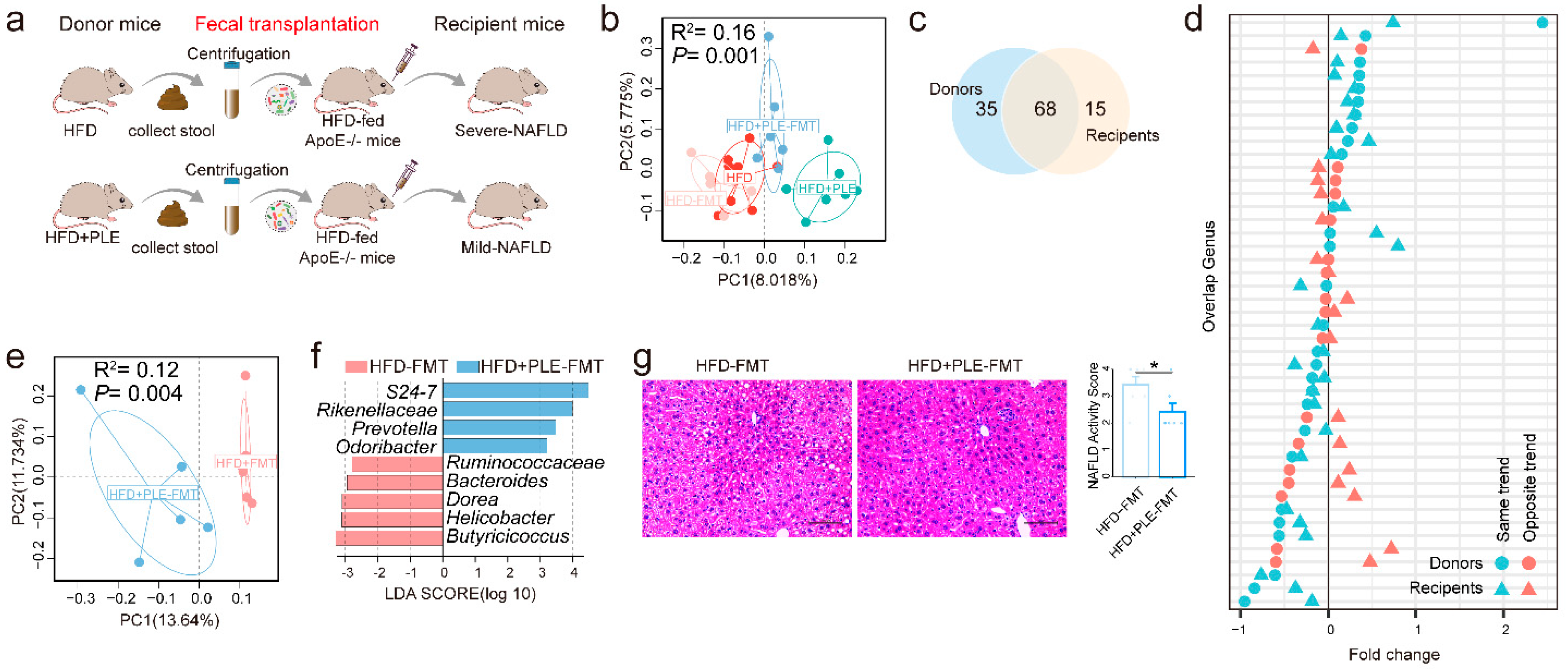 Nutrients 14 04930 g004 Nutrients 14 04930 g004