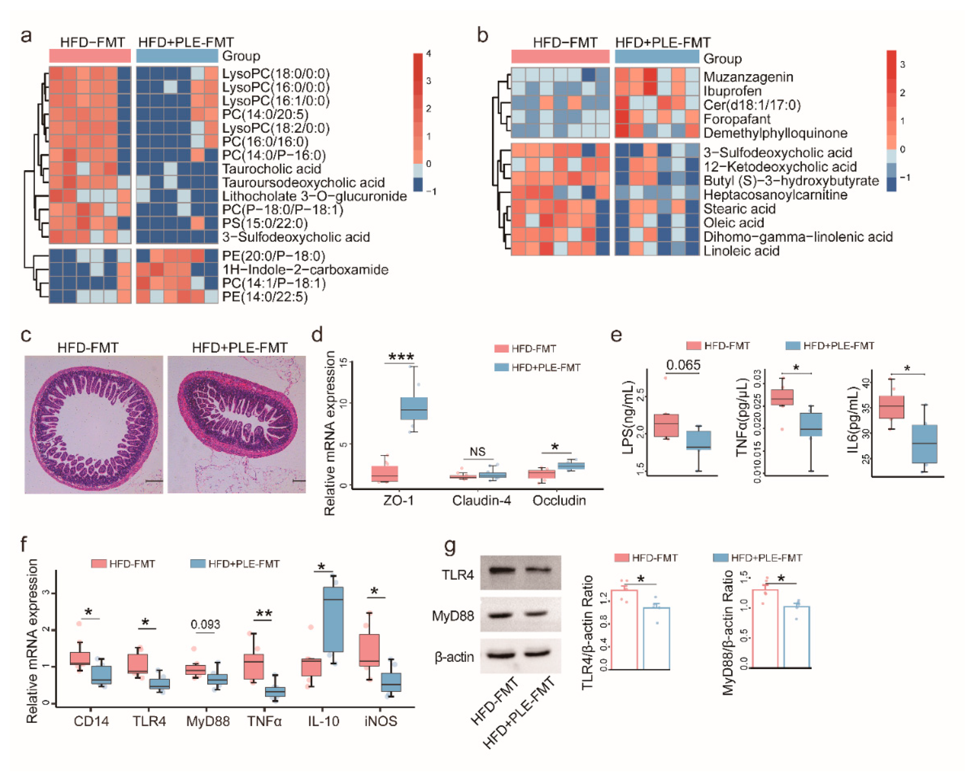 Nutrients 14 04930 g005 Nutrients 14 04930 g005