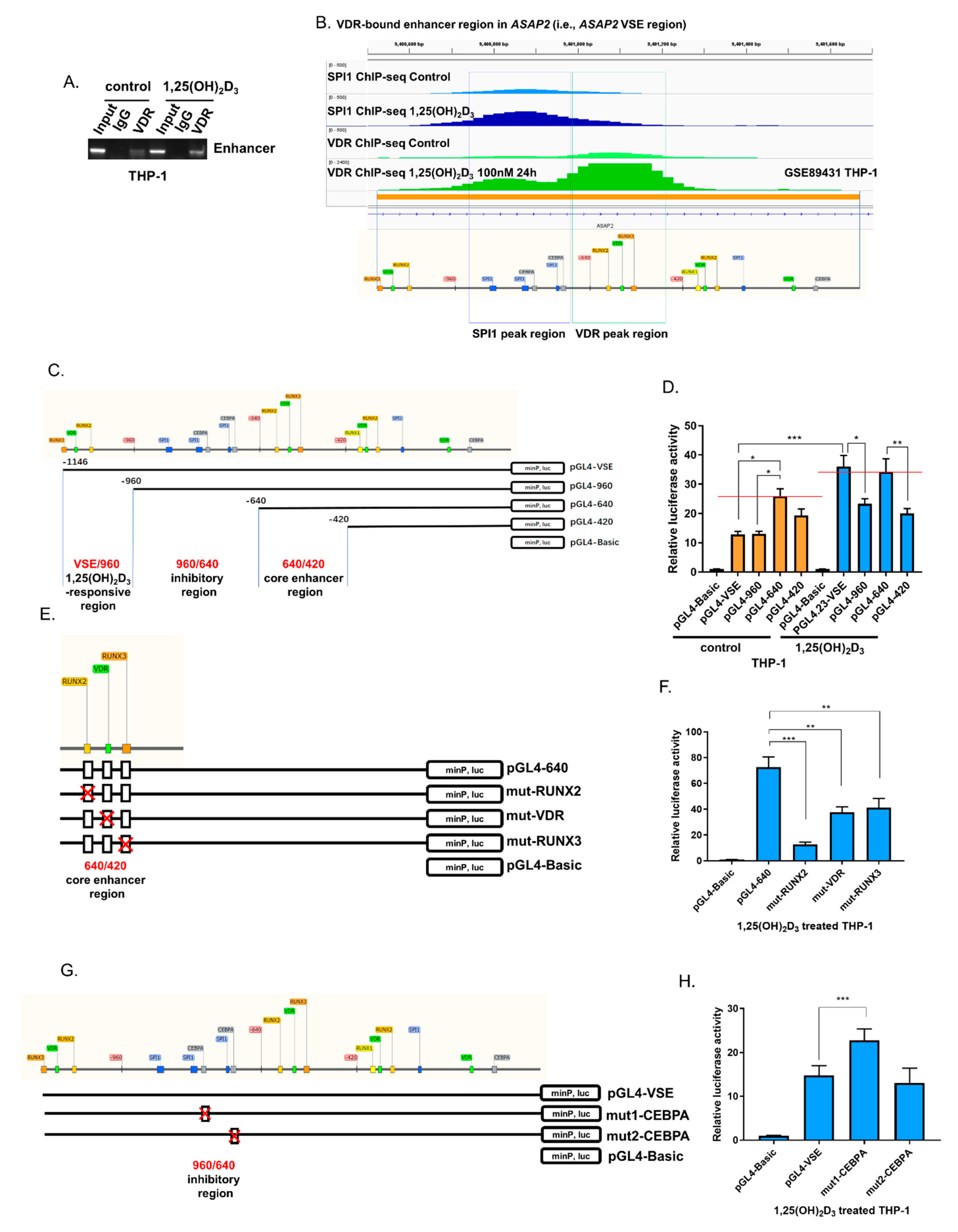 Nutrients 14 04935 g002 Nutrients 14 04935 g002