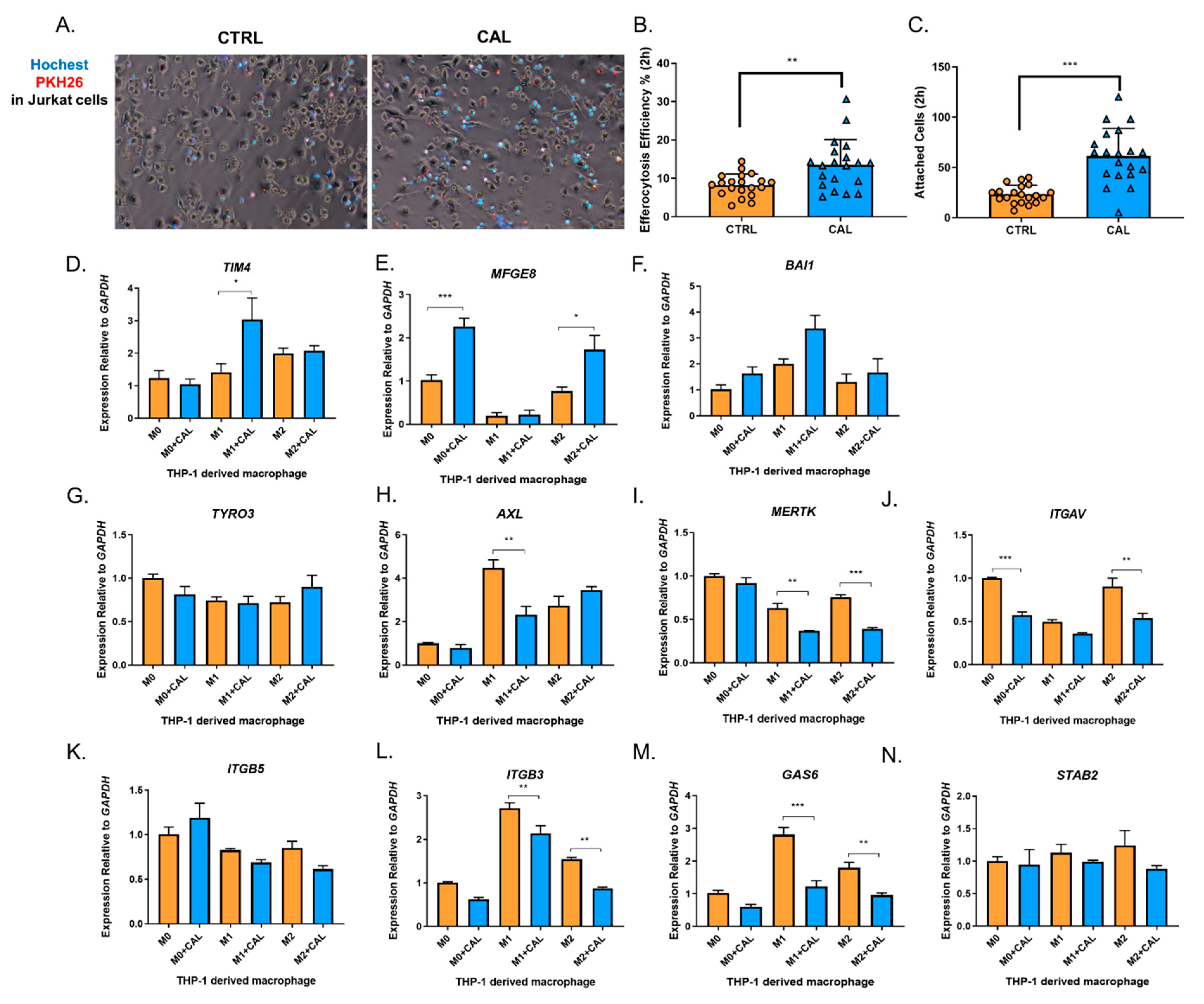 Nutrients 14 04935 g003 Nutrients 14 04935 g003