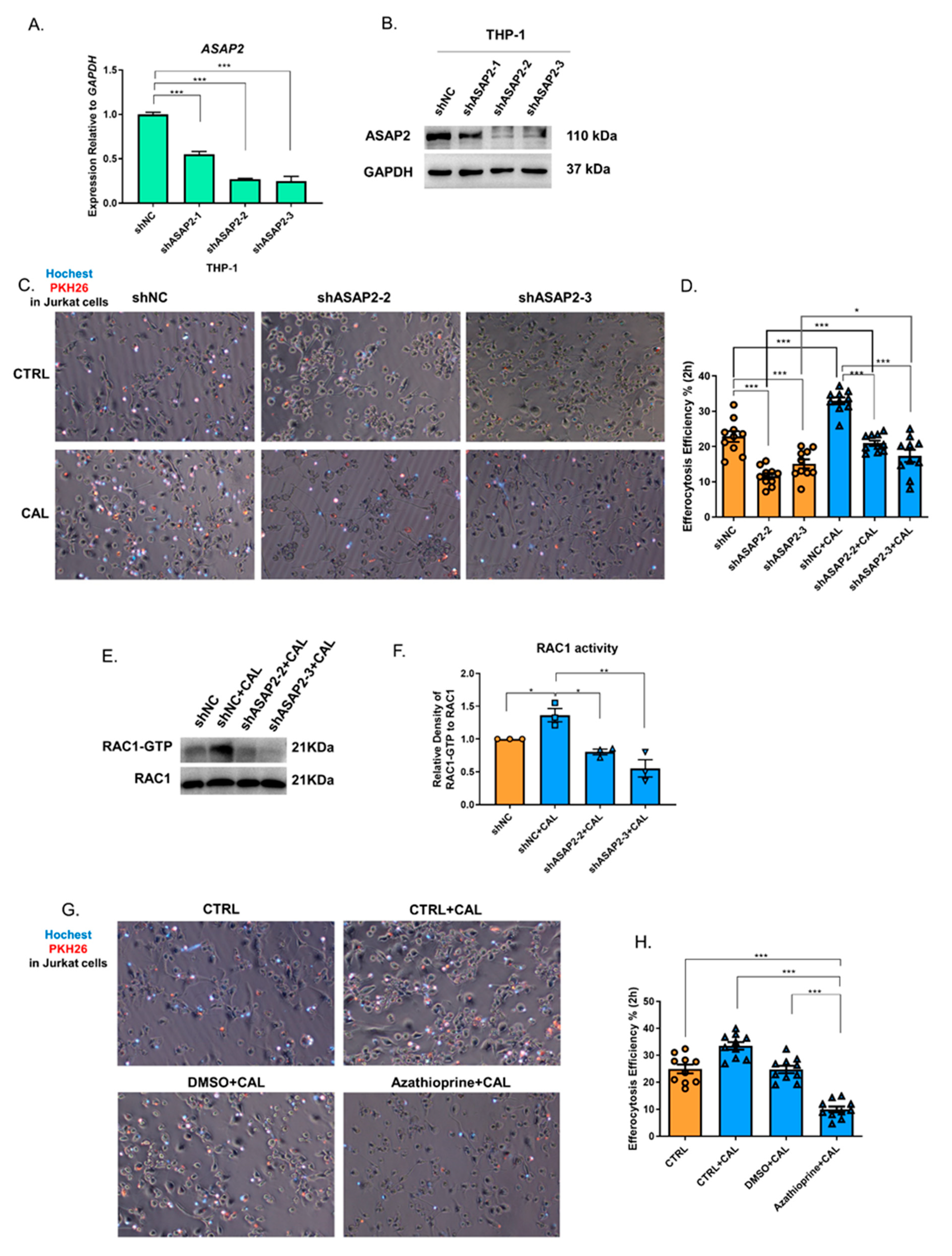 Nutrients 14 04935 g004 Nutrients 14 04935 g004