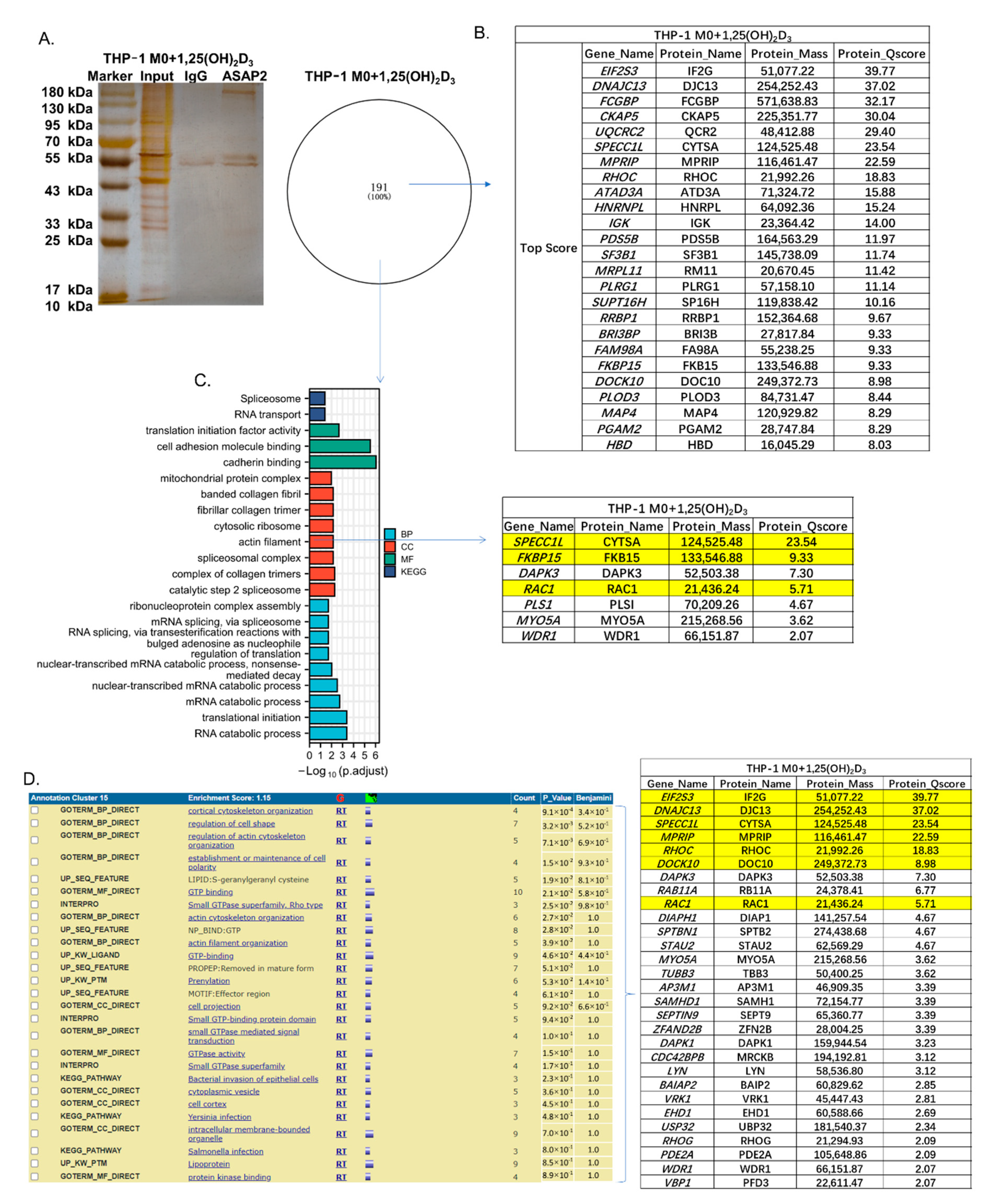 Nutrients 14 04935 g005 Nutrients 14 04935 g005