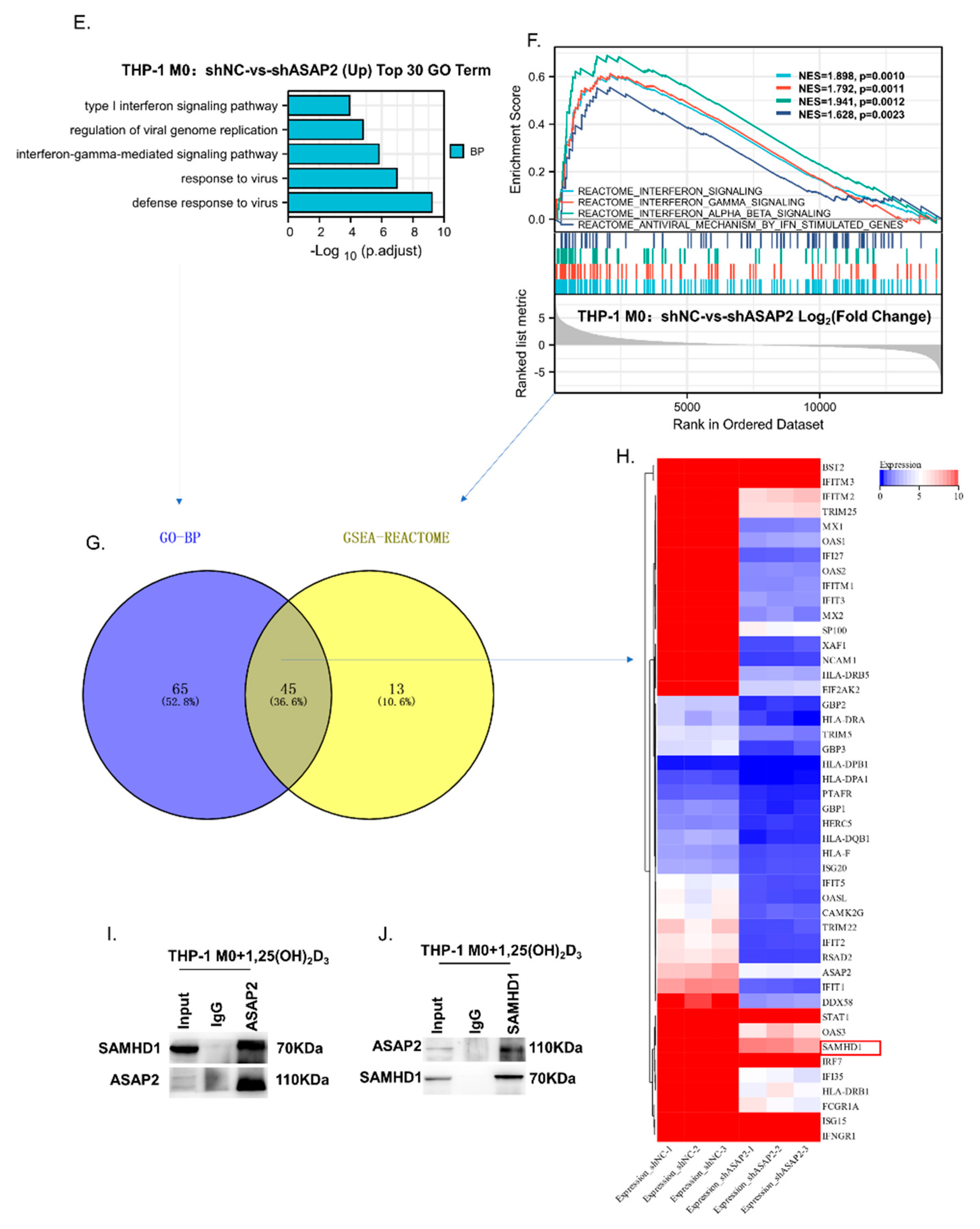 Nutrients 14 04935 g006b Nutrients 14 04935 g006b