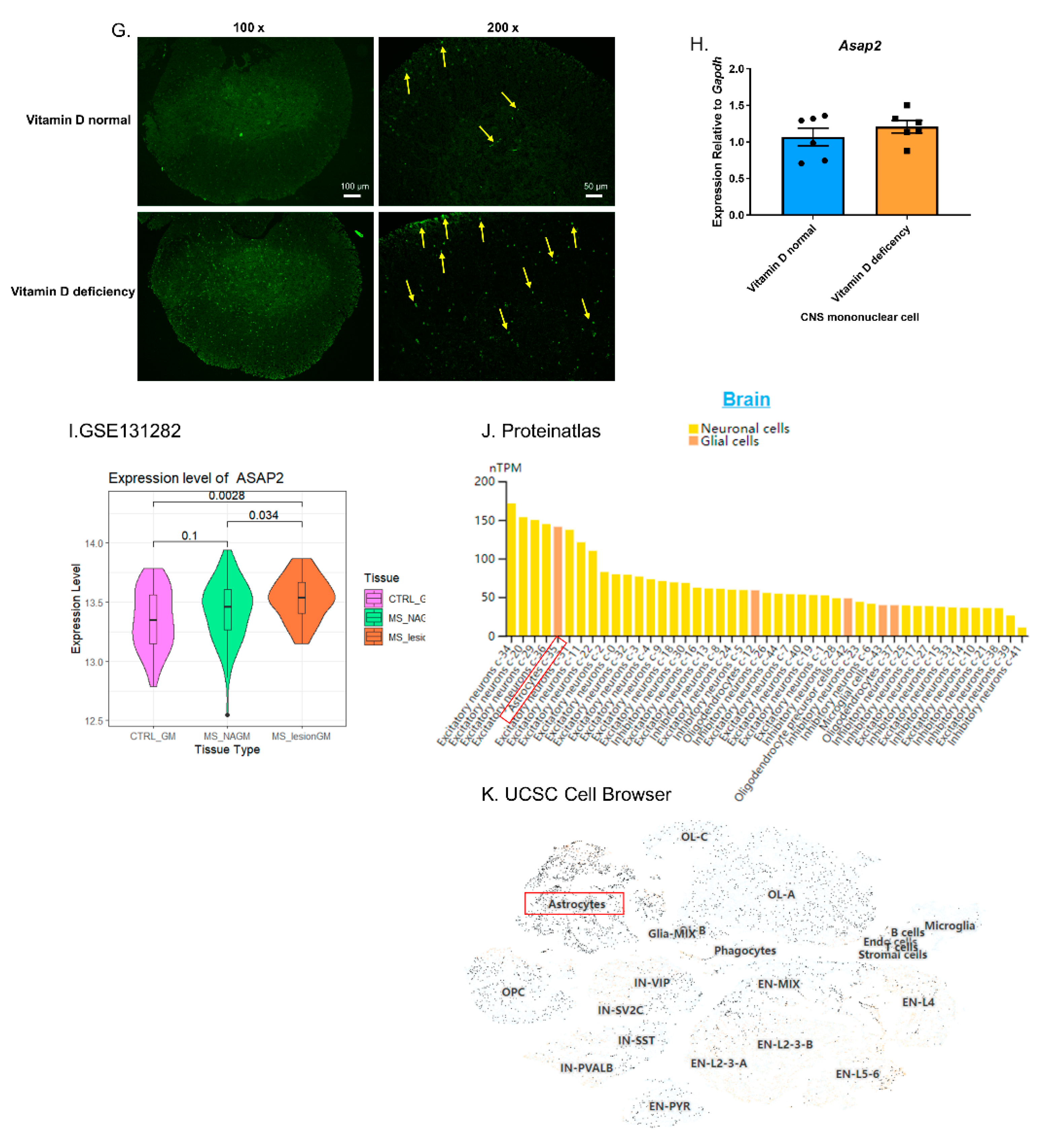 Nutrients 14 04935 g007b Nutrients 14 04935 g007b