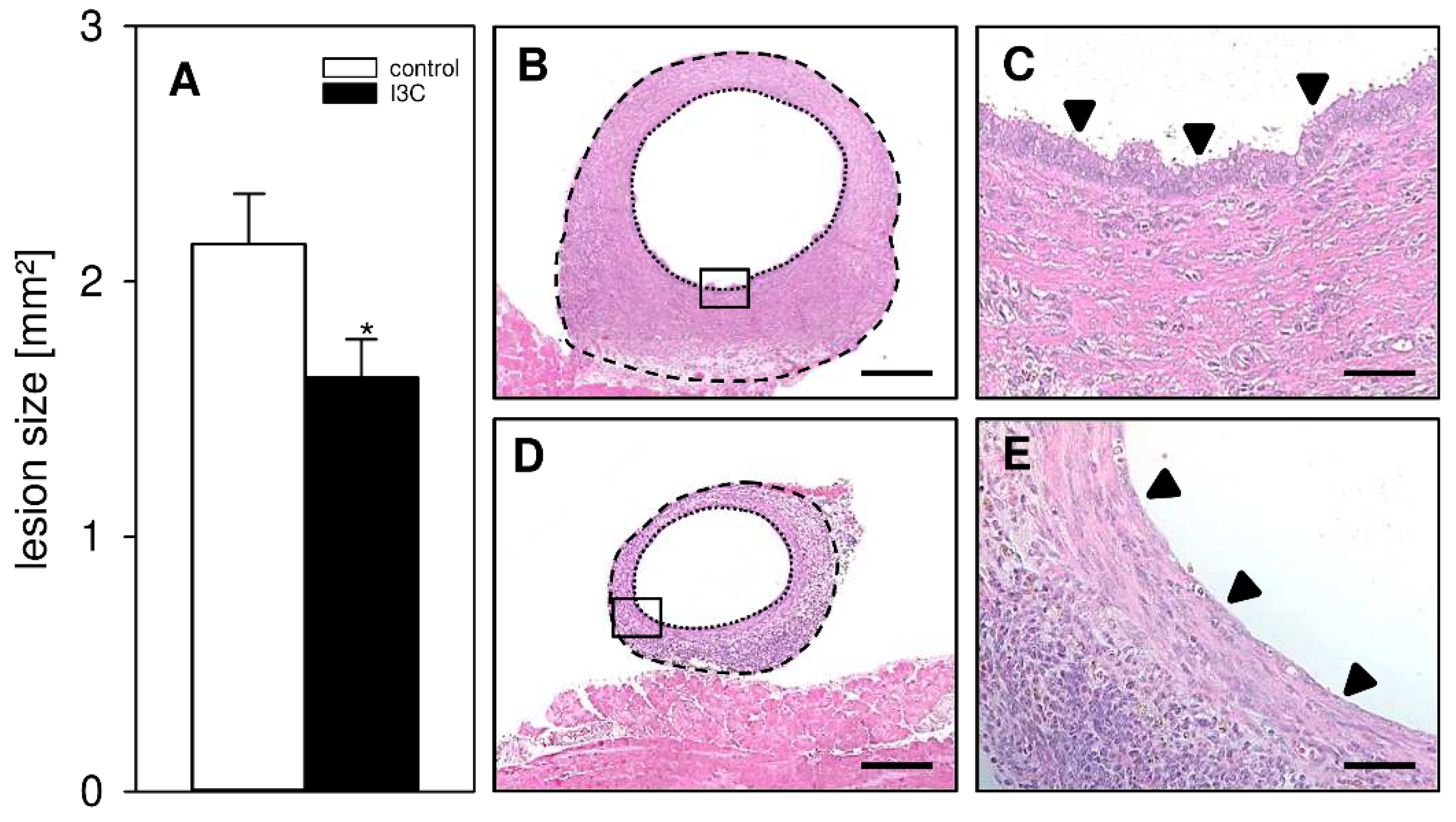 Nutrients 14 04940 g003 Nutrients 14 04940 g003