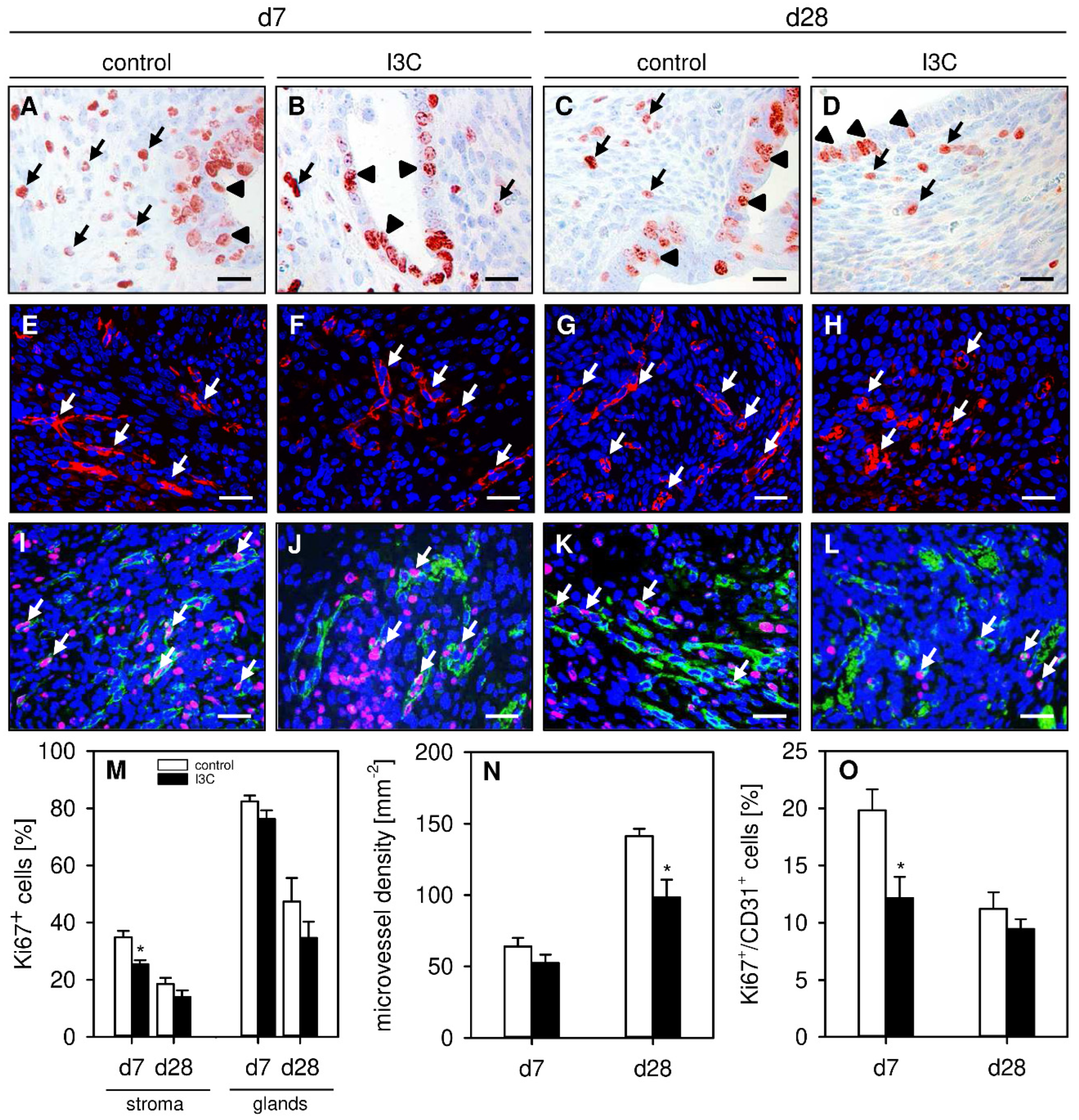 Nutrients 14 04940 g004 Nutrients 14 04940 g004