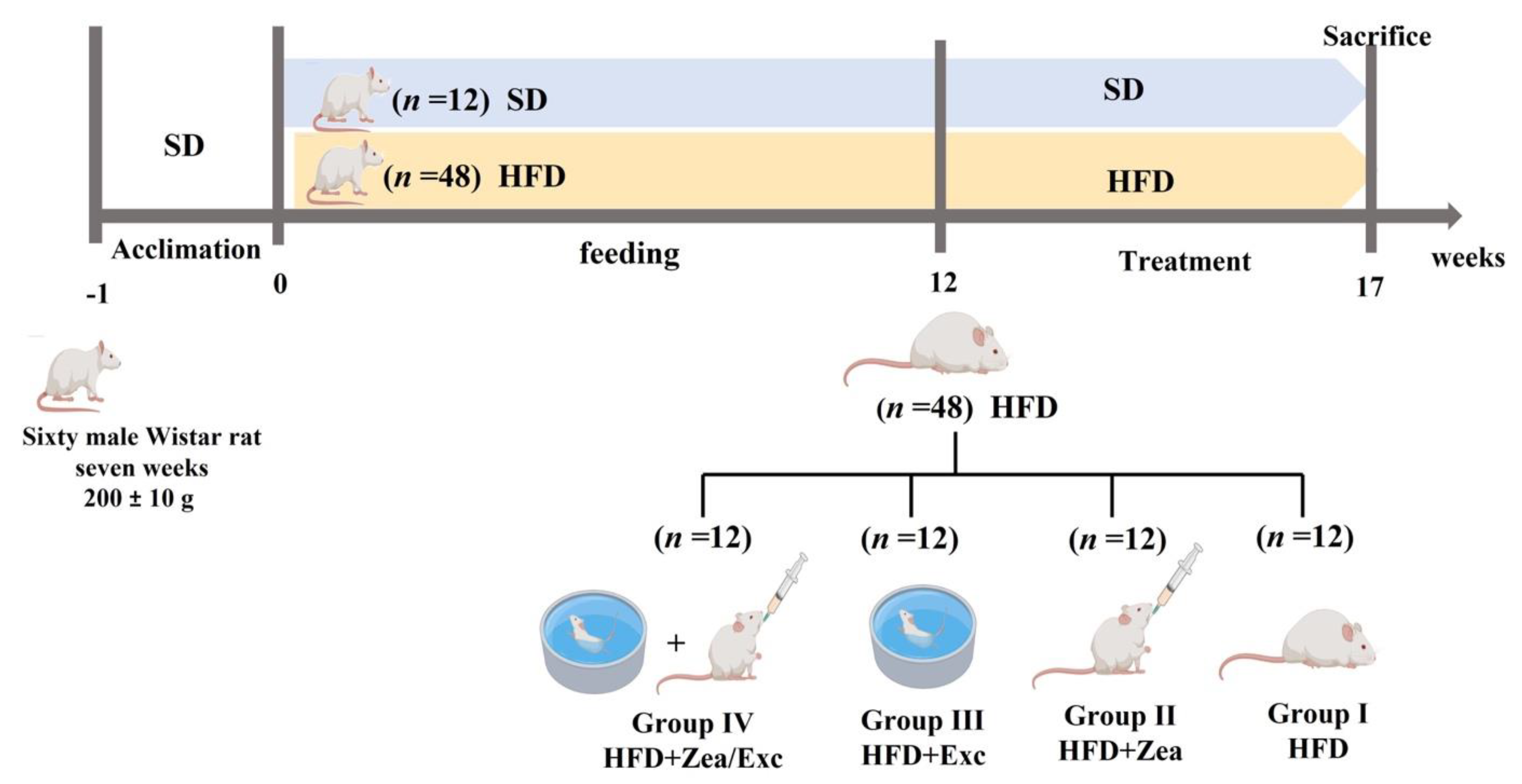 Nutrients 14 04944 g001 Nutrients 14 04944 g001