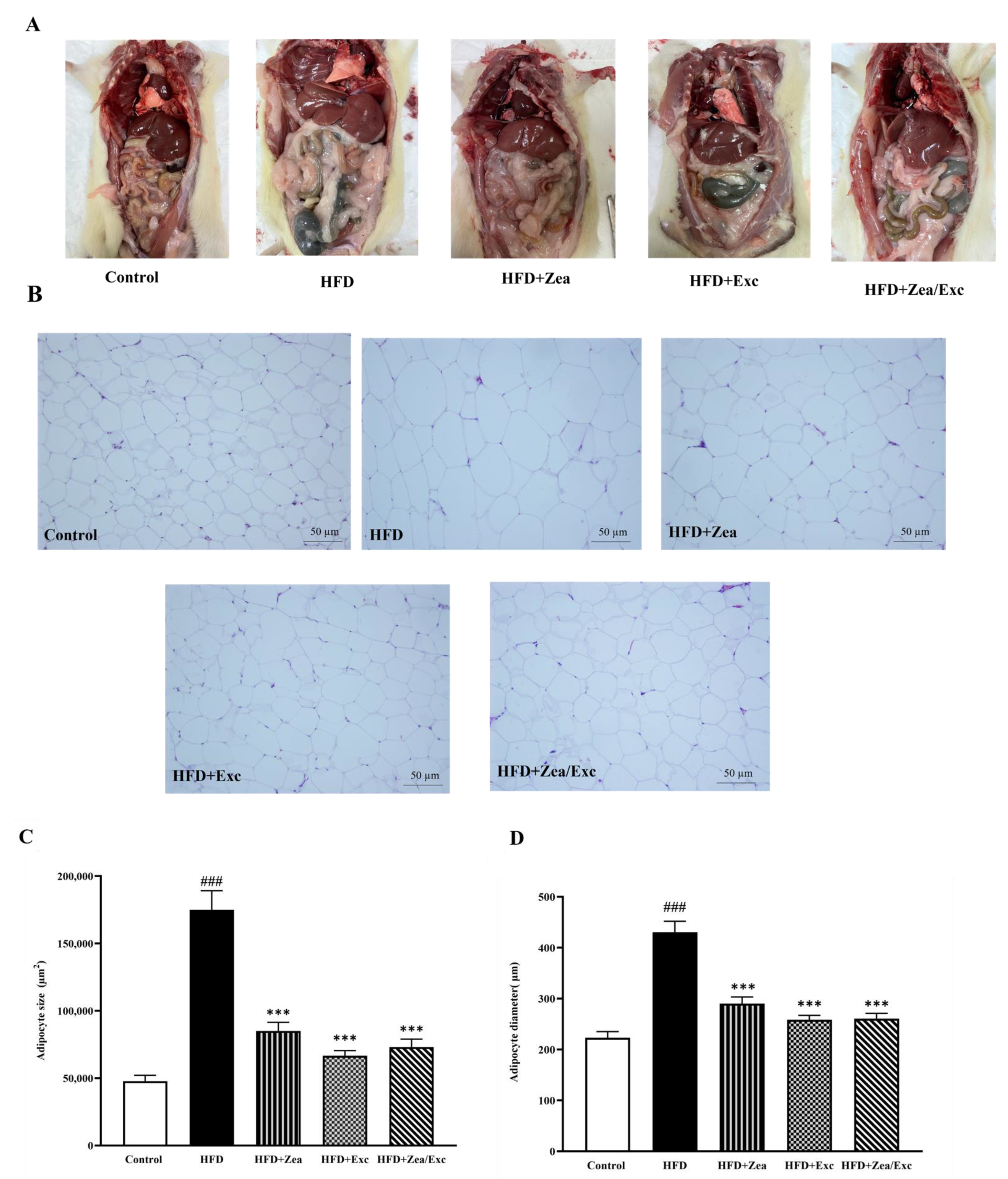 Nutrients 14 04944 g007 Nutrients 14 04944 g007
