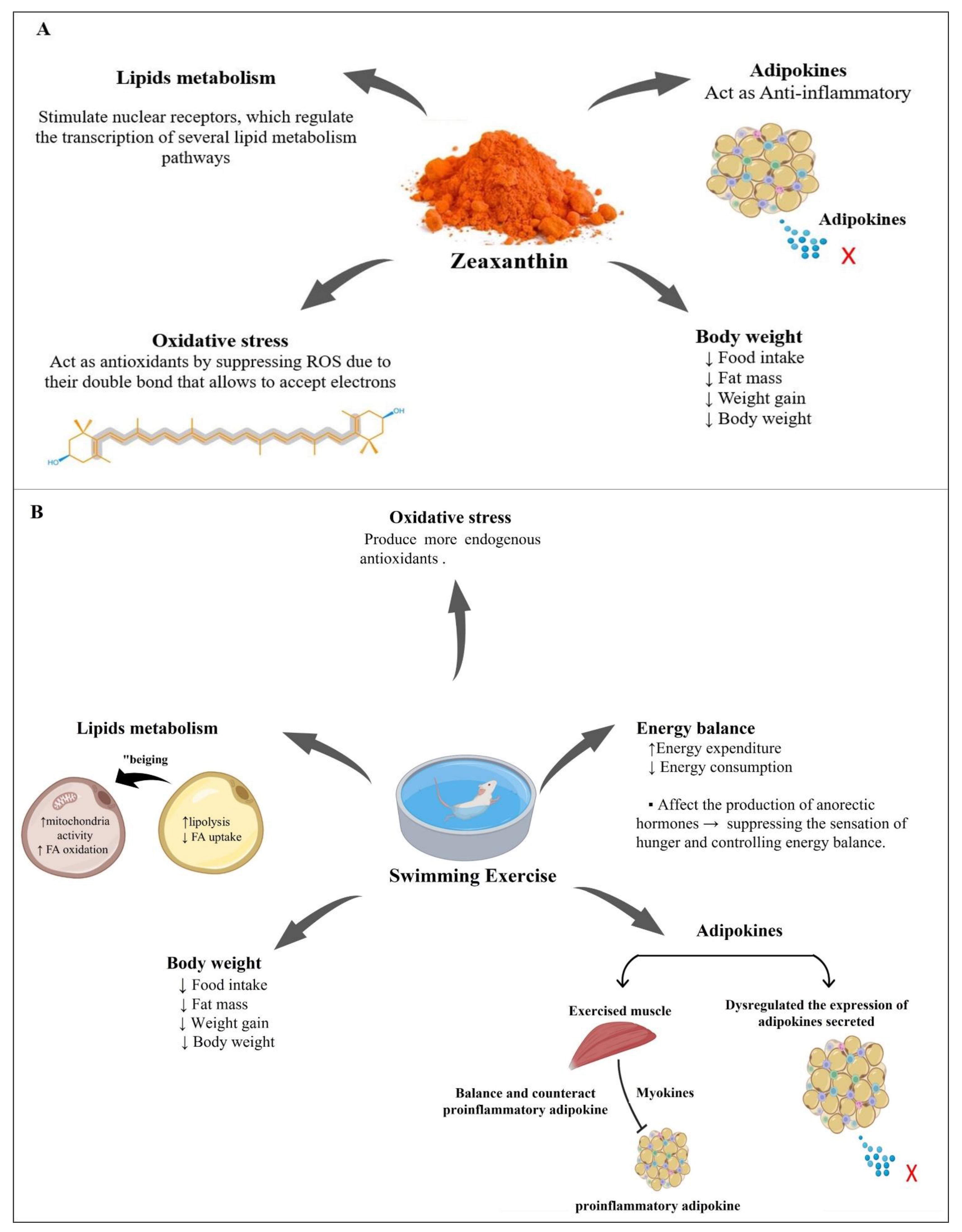 Nutrients 14 04944 g008 Nutrients 14 04944 g008