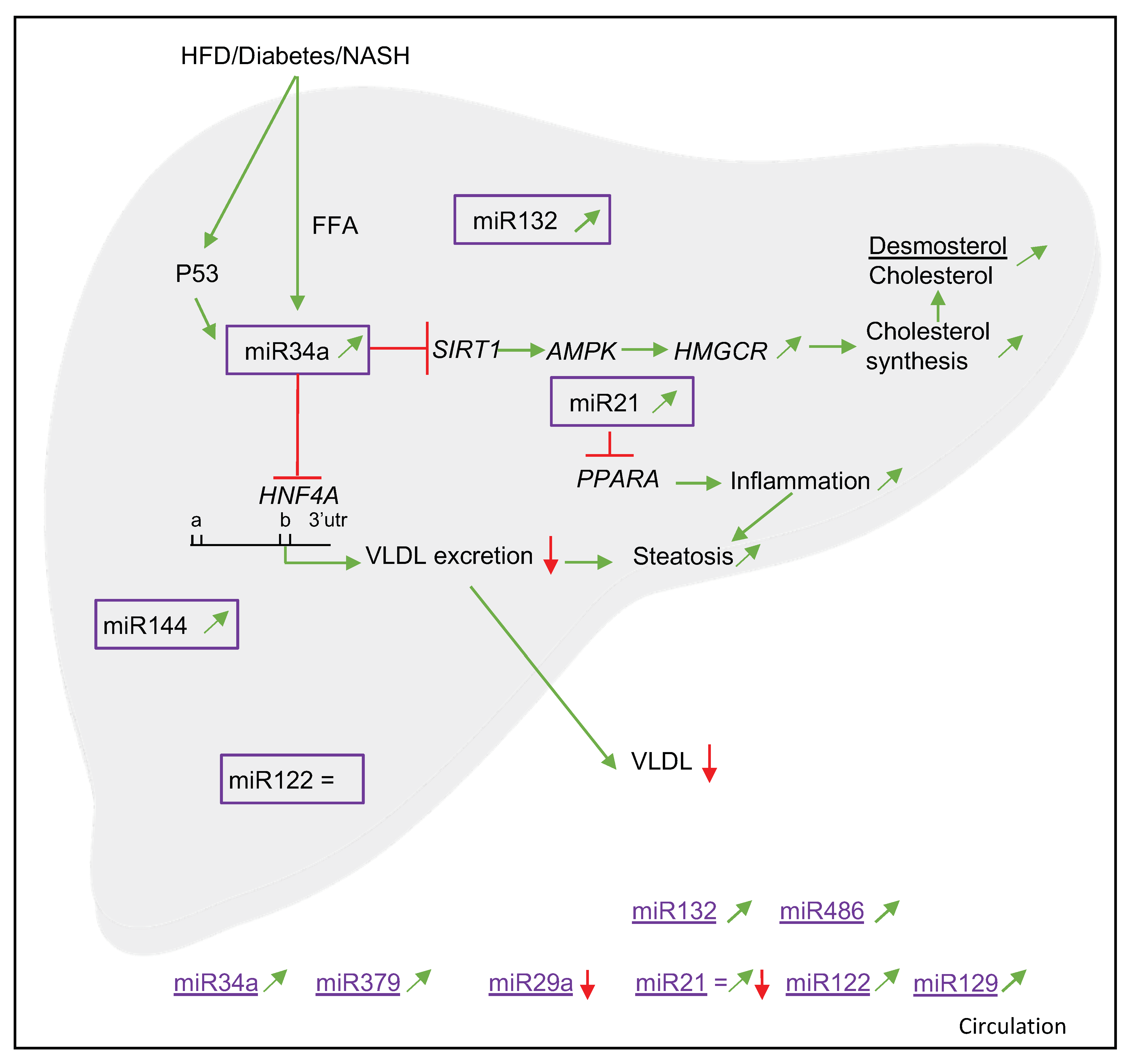 Nutrients 14 04946 g002 Nutrients 14 04946 g002