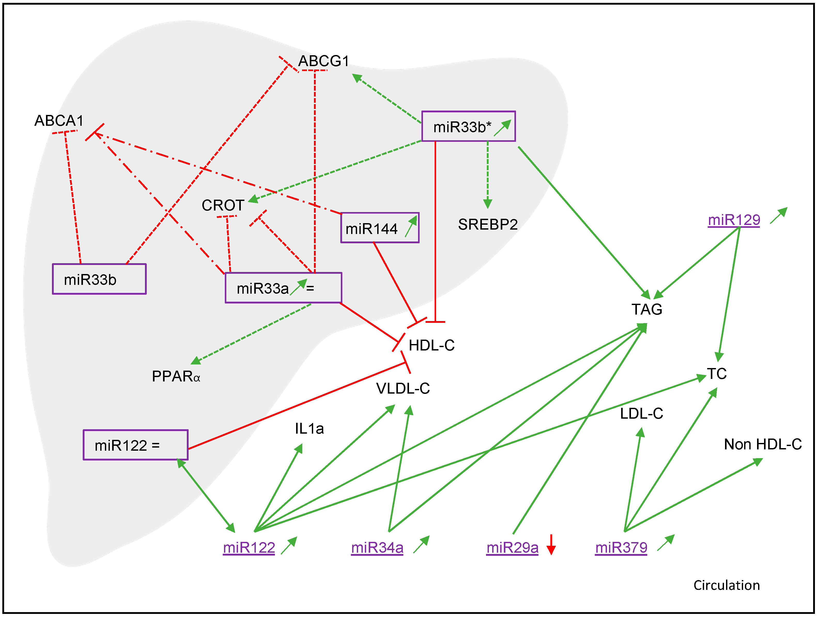 Nutrients 14 04946 g003 Nutrients 14 04946 g003