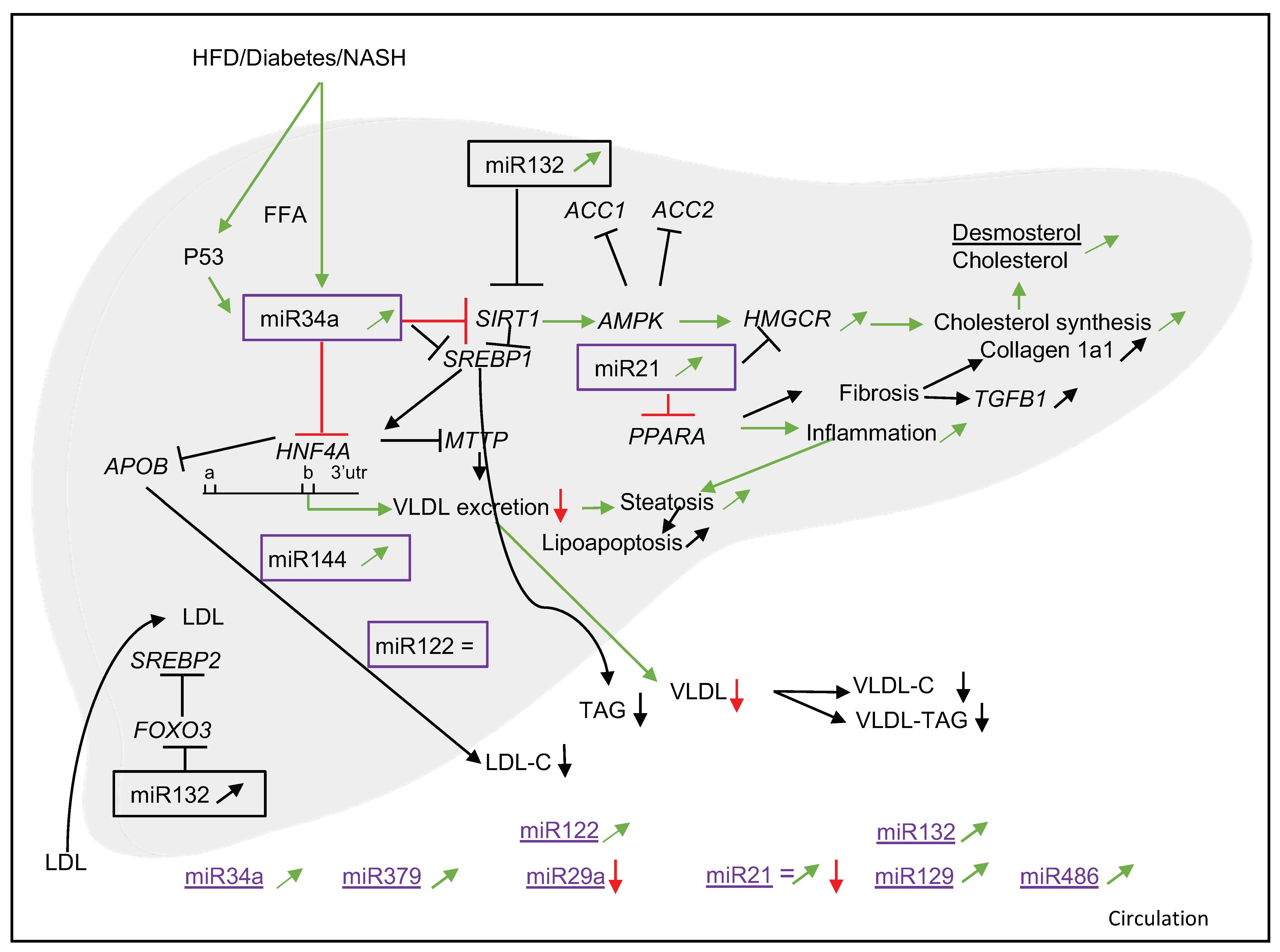 Nutrients 14 04946 g004 Nutrients 14 04946 g004