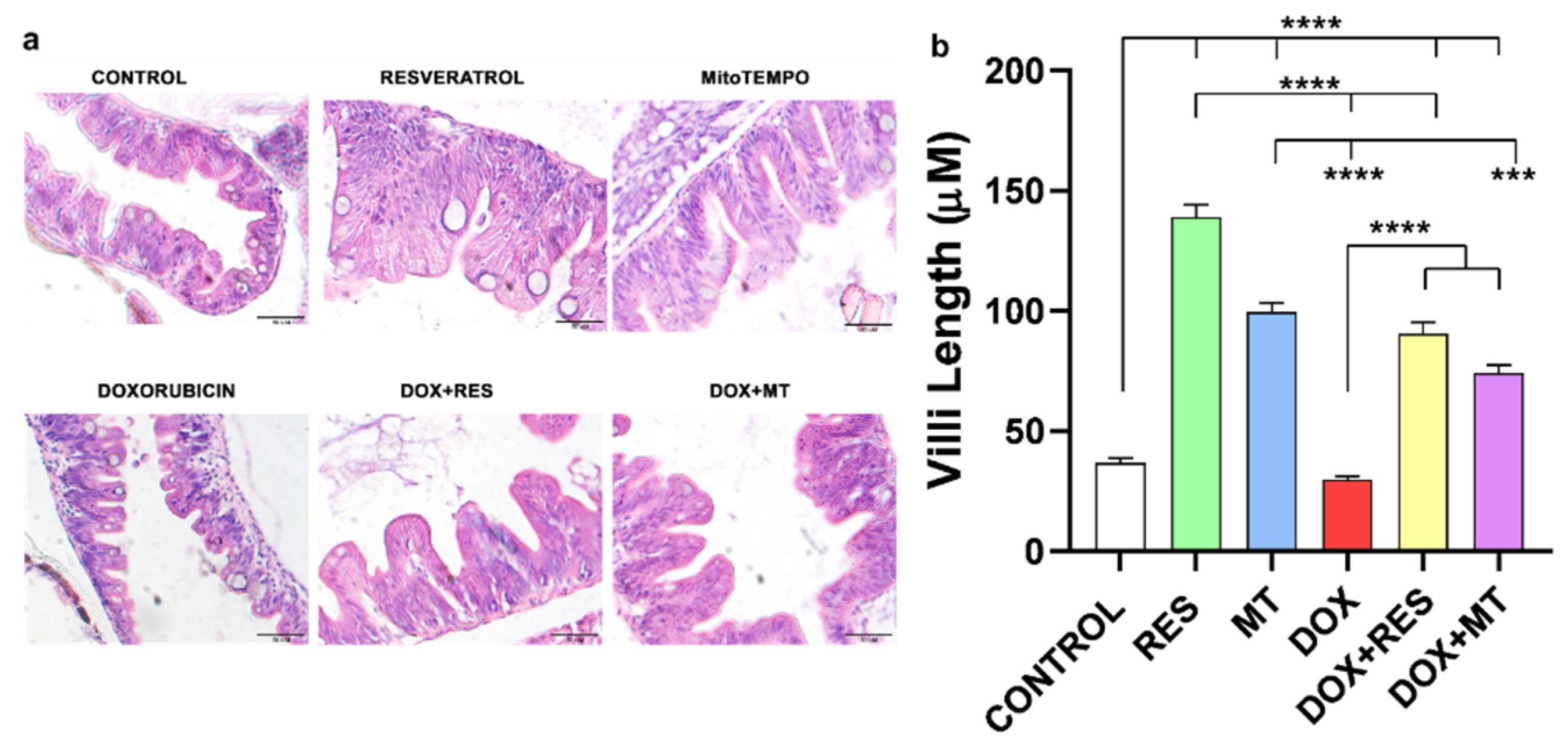 Nutrients 14 04959 g002