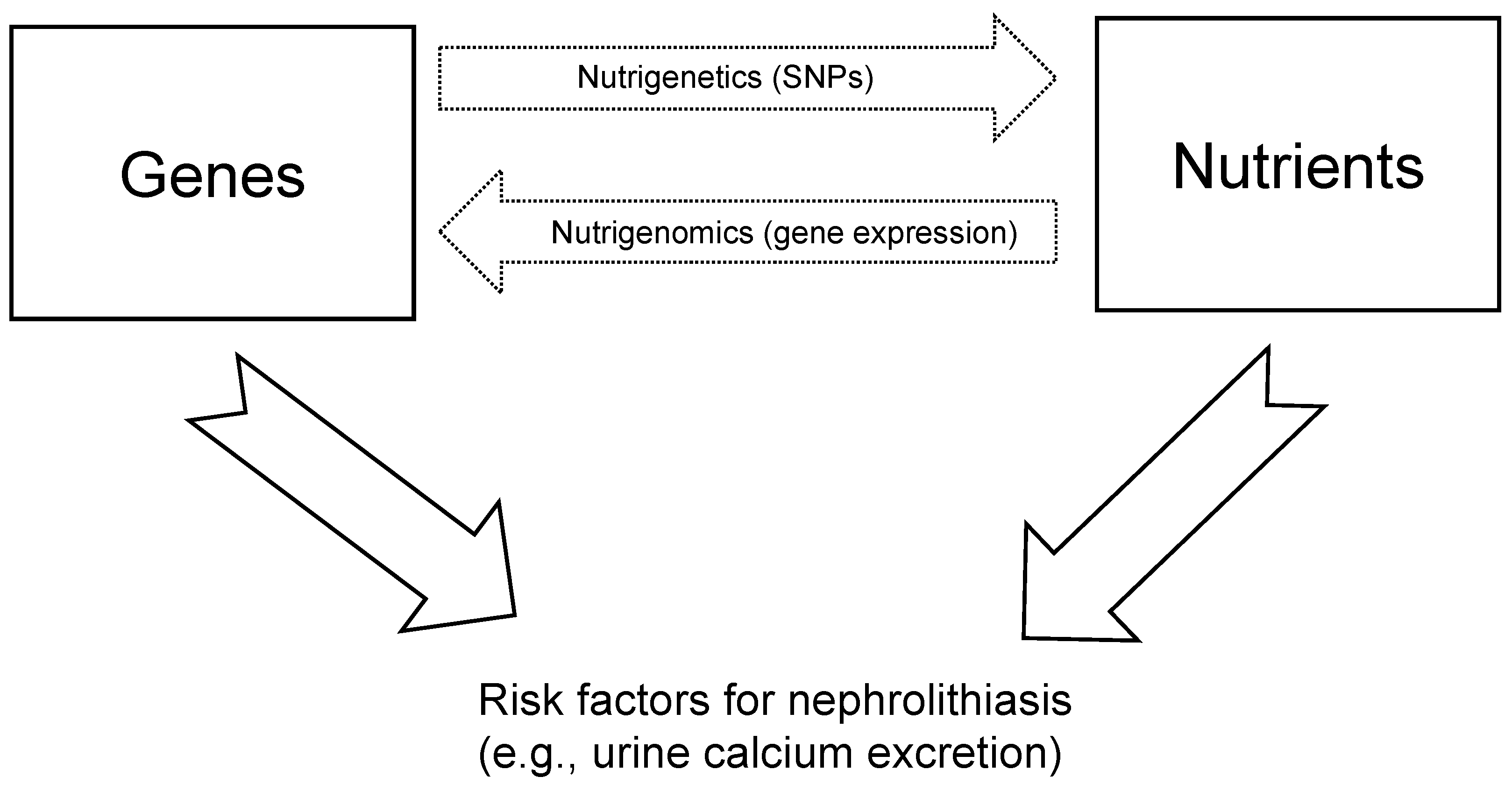 Nutrients 14 04961 g001 Nutrients 14 04961 g001