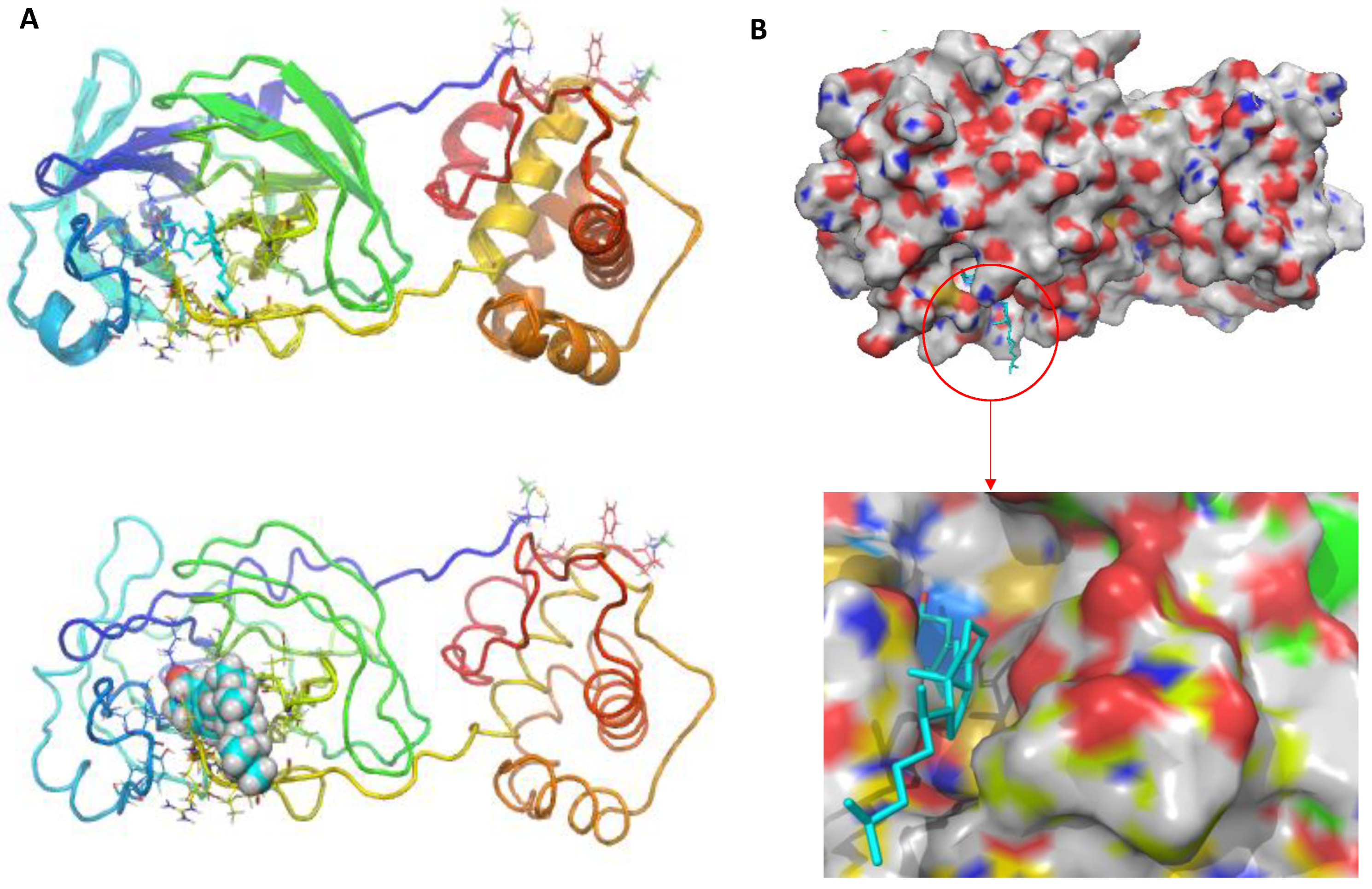 Nutrients 14 04964 g002