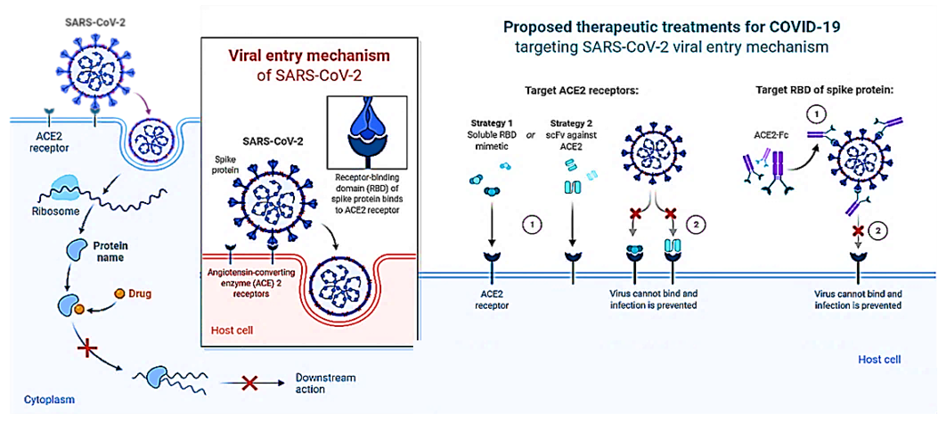 Nutrients 14 04964 g007