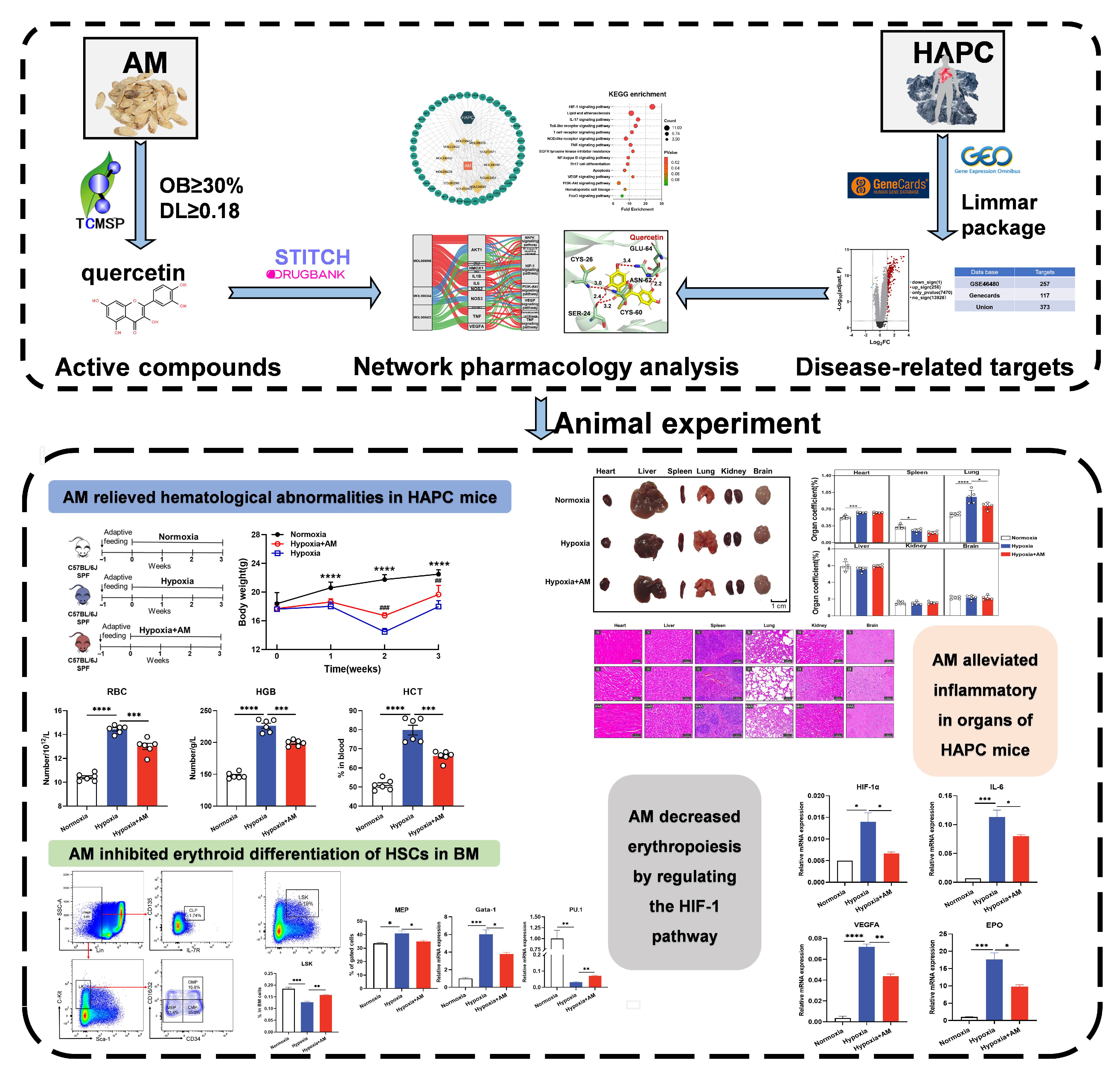 Nutrients 14 04968 g001 Nutrients 14 04968 g001