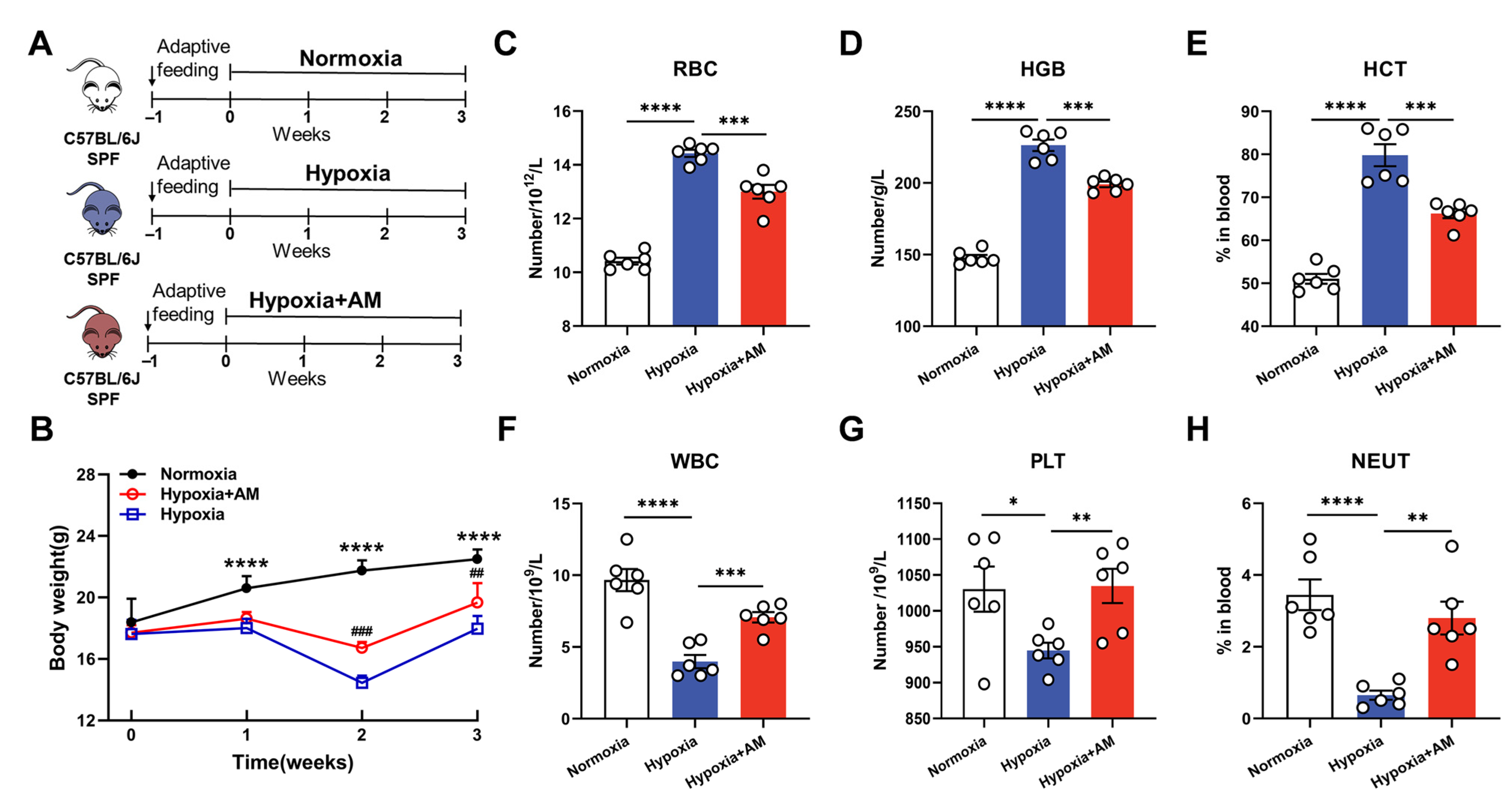 Nutrients 14 04968 g008 Nutrients 14 04968 g008