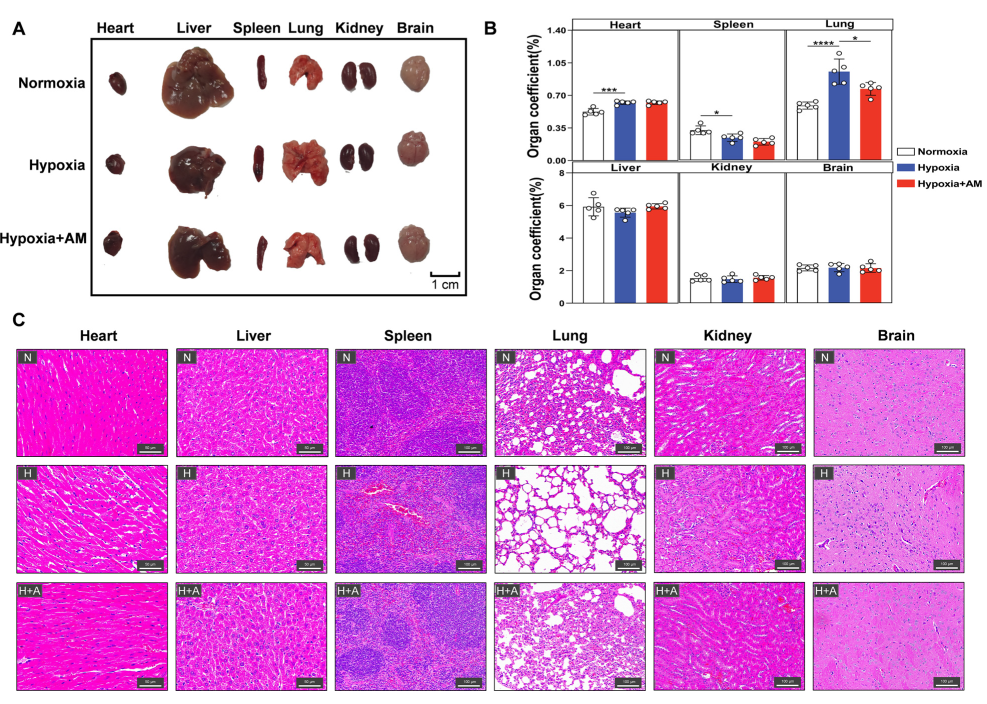 Nutrients 14 04968 g009 Nutrients 14 04968 g009