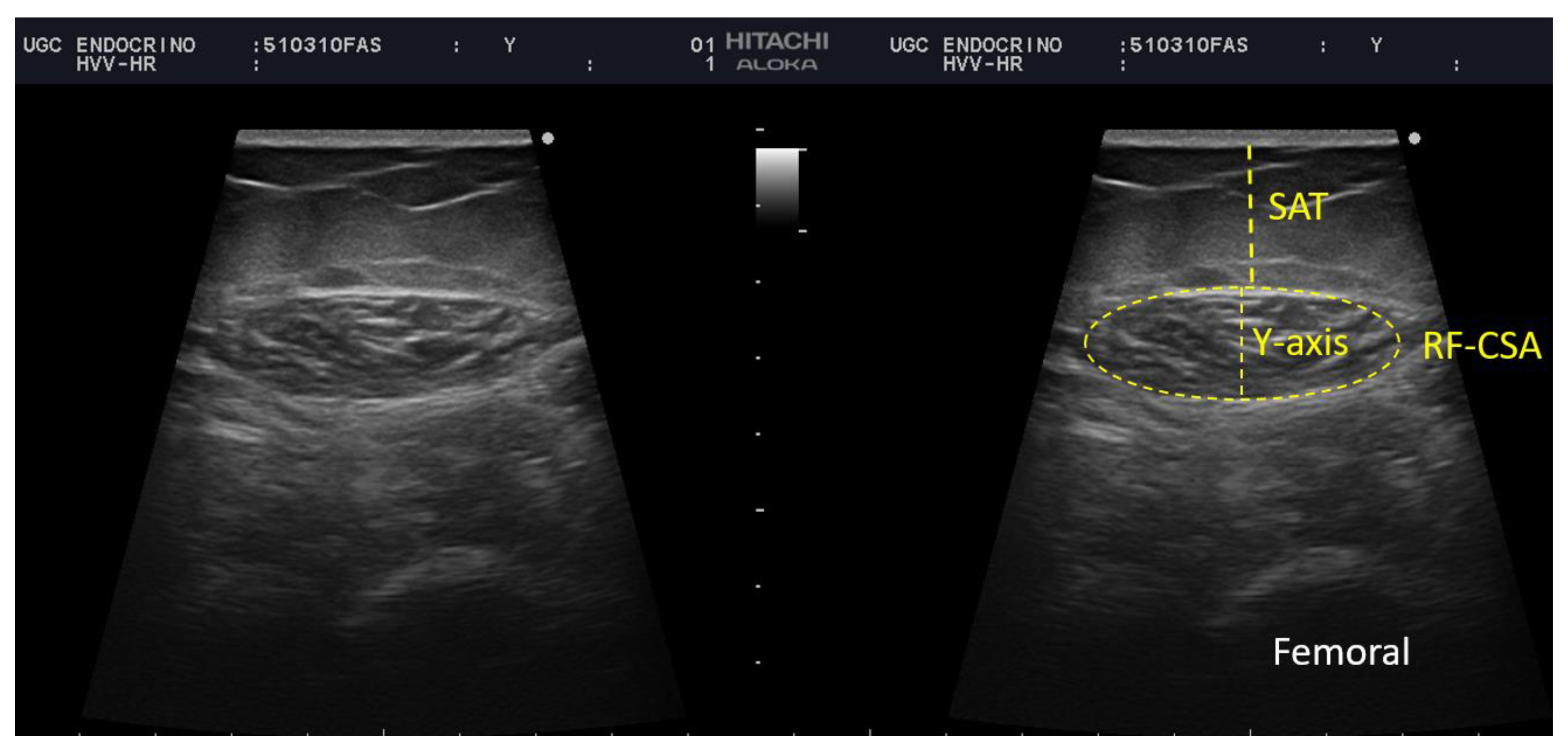 Nutrients 14 04988 g001