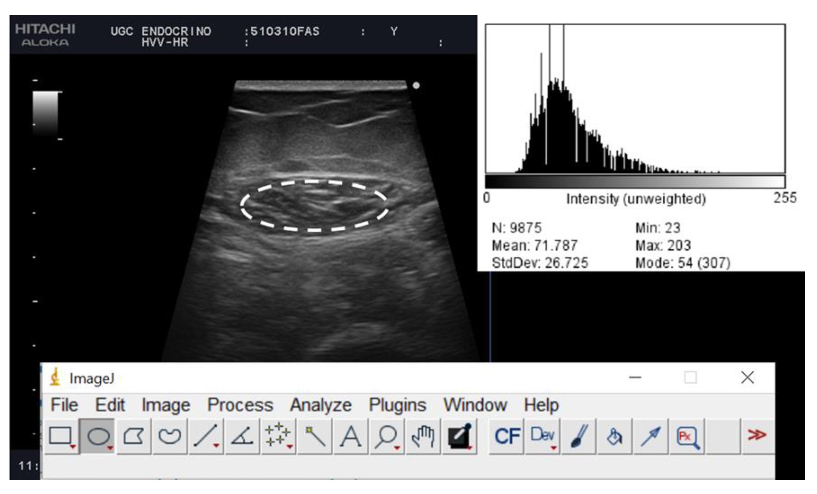 Nutrients 14 04988 g002