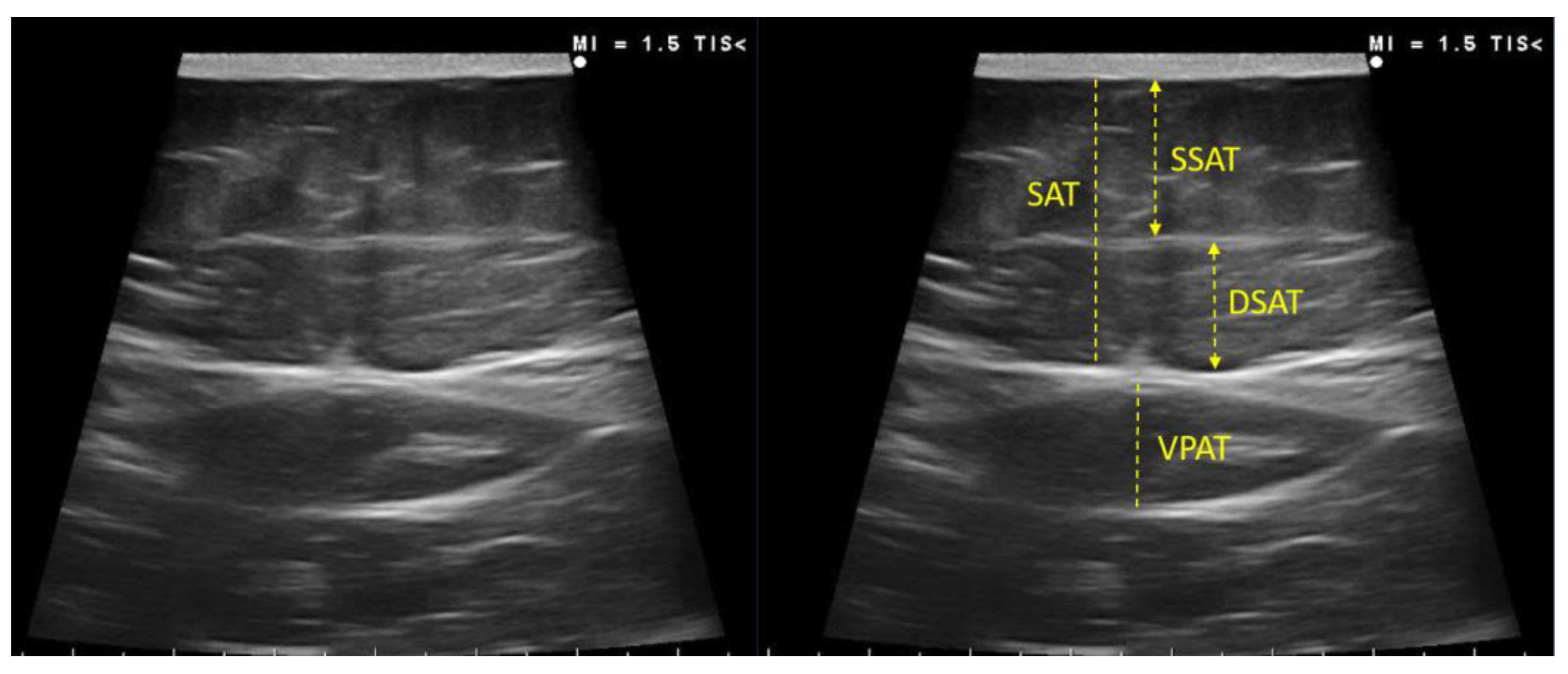 Nutrients 14 04988 g003