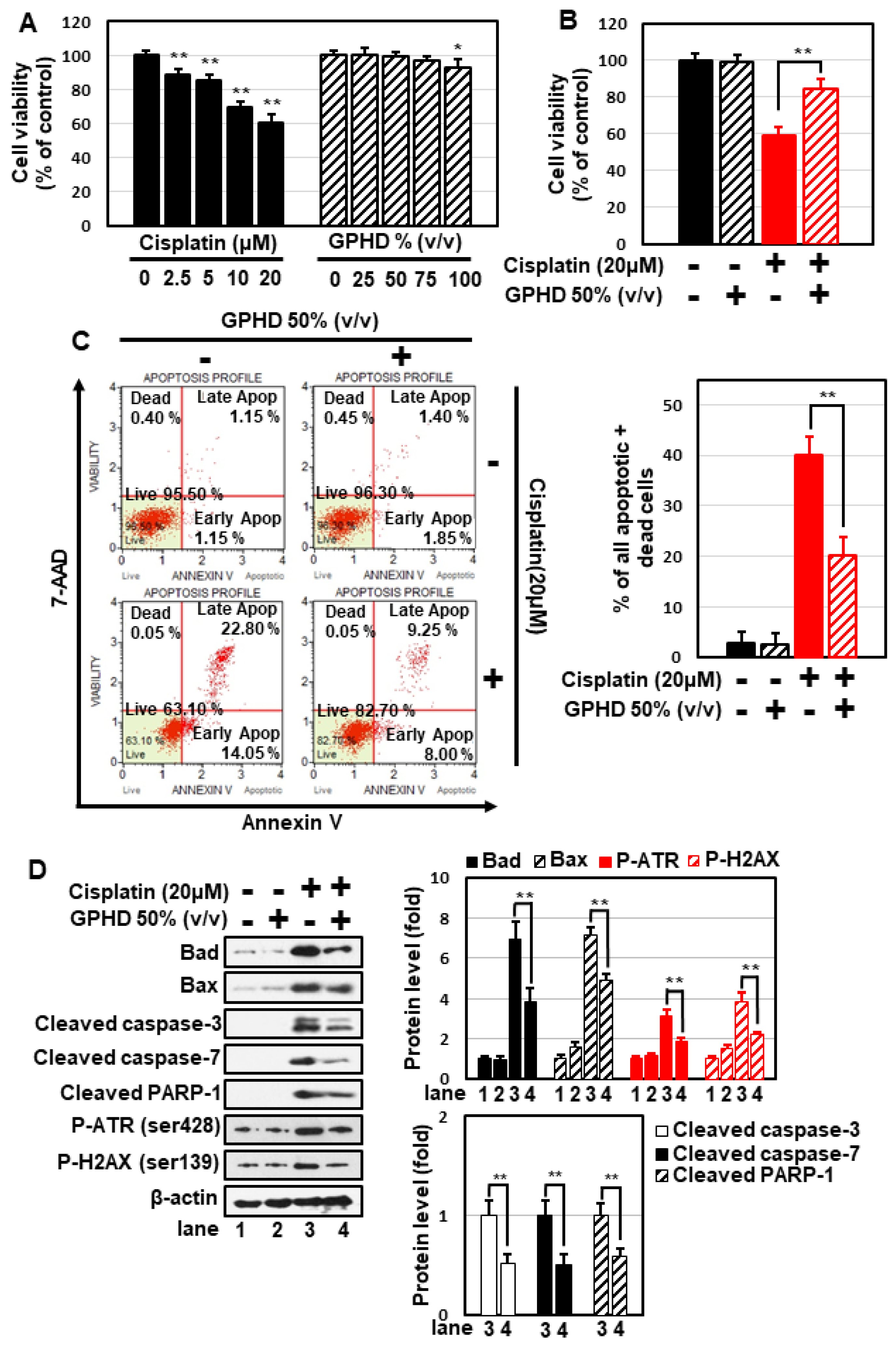 Nutrients 14 04997 g001