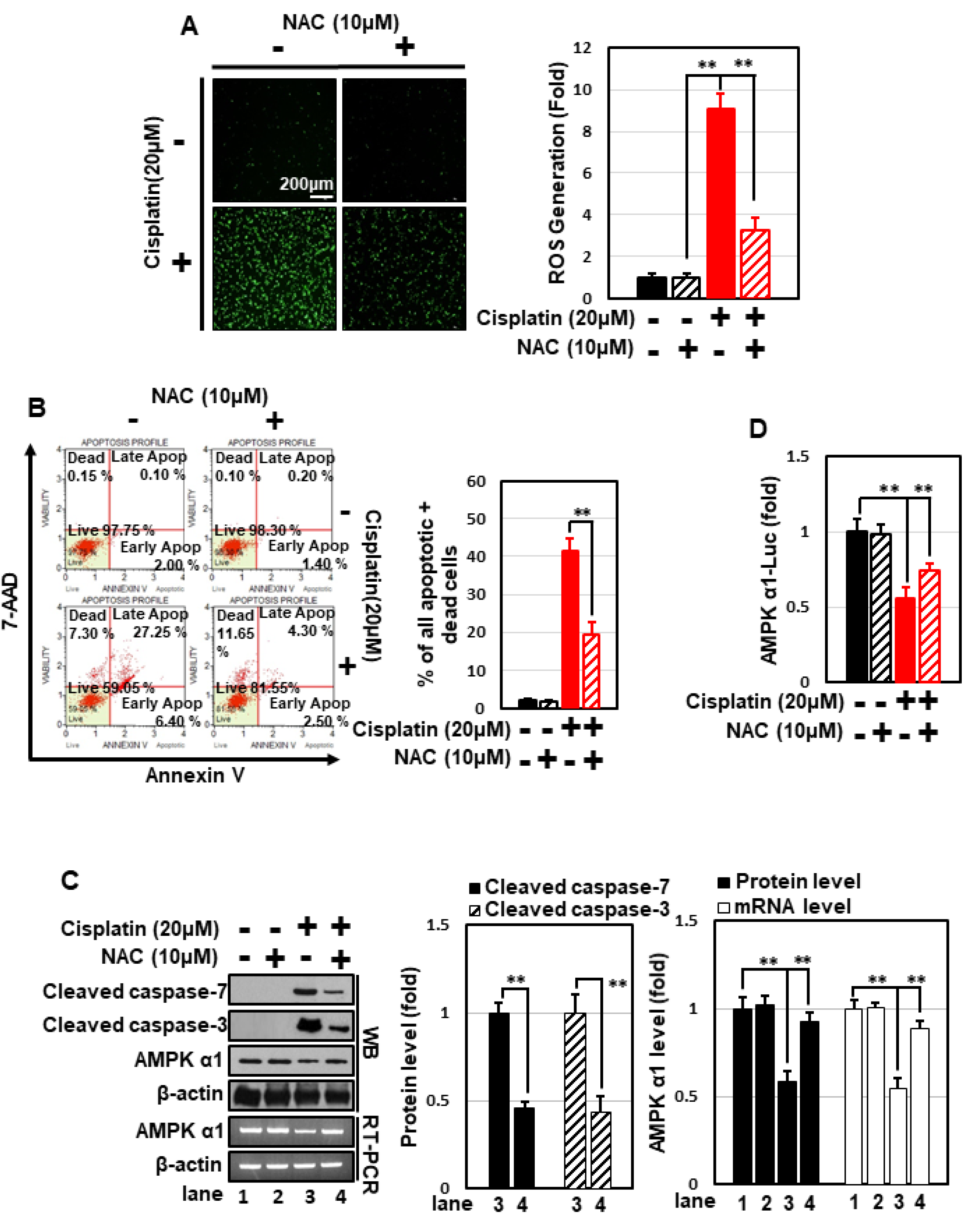 Nutrients 14 04997 g004a