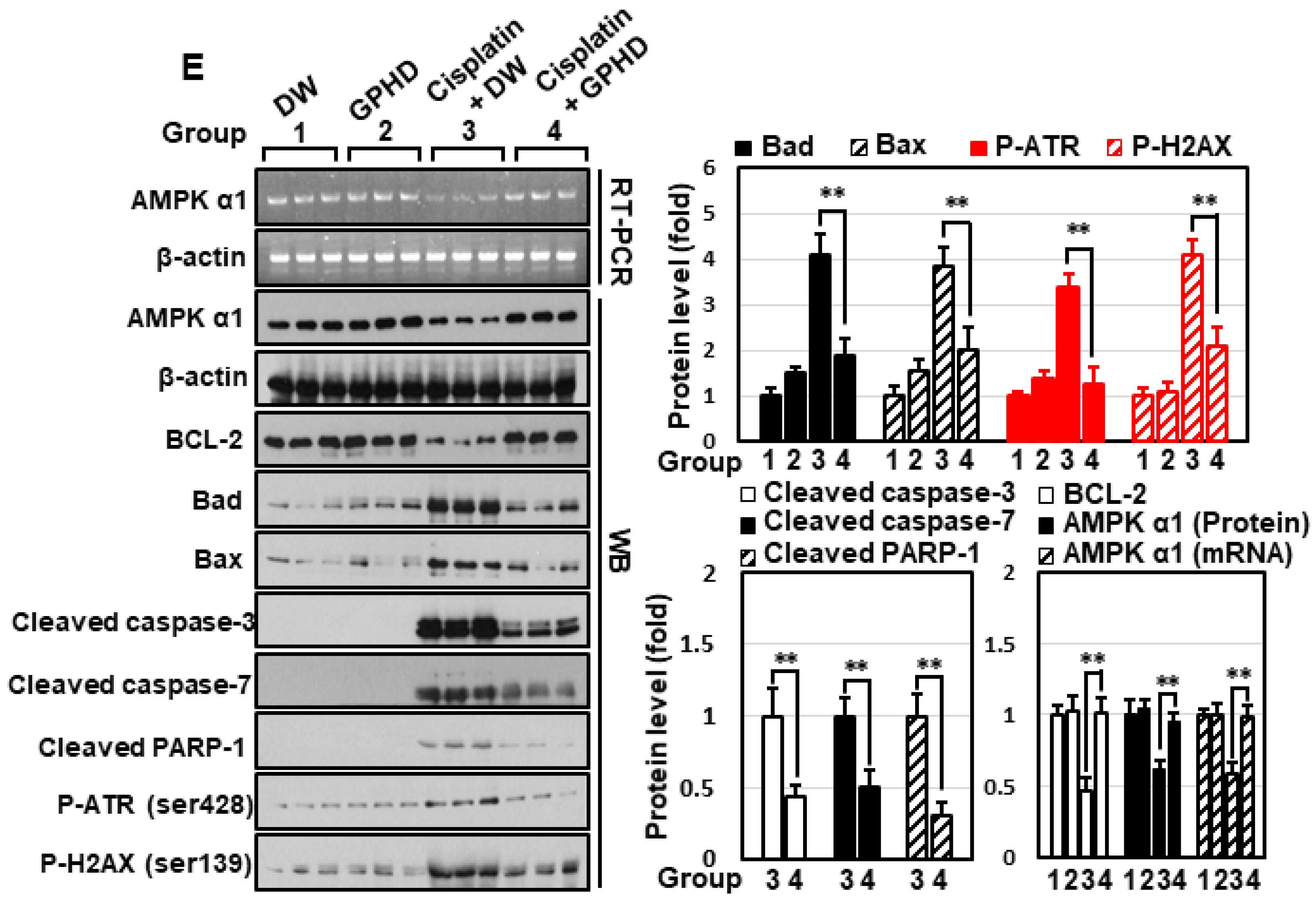 Nutrients 14 04997 g005b
