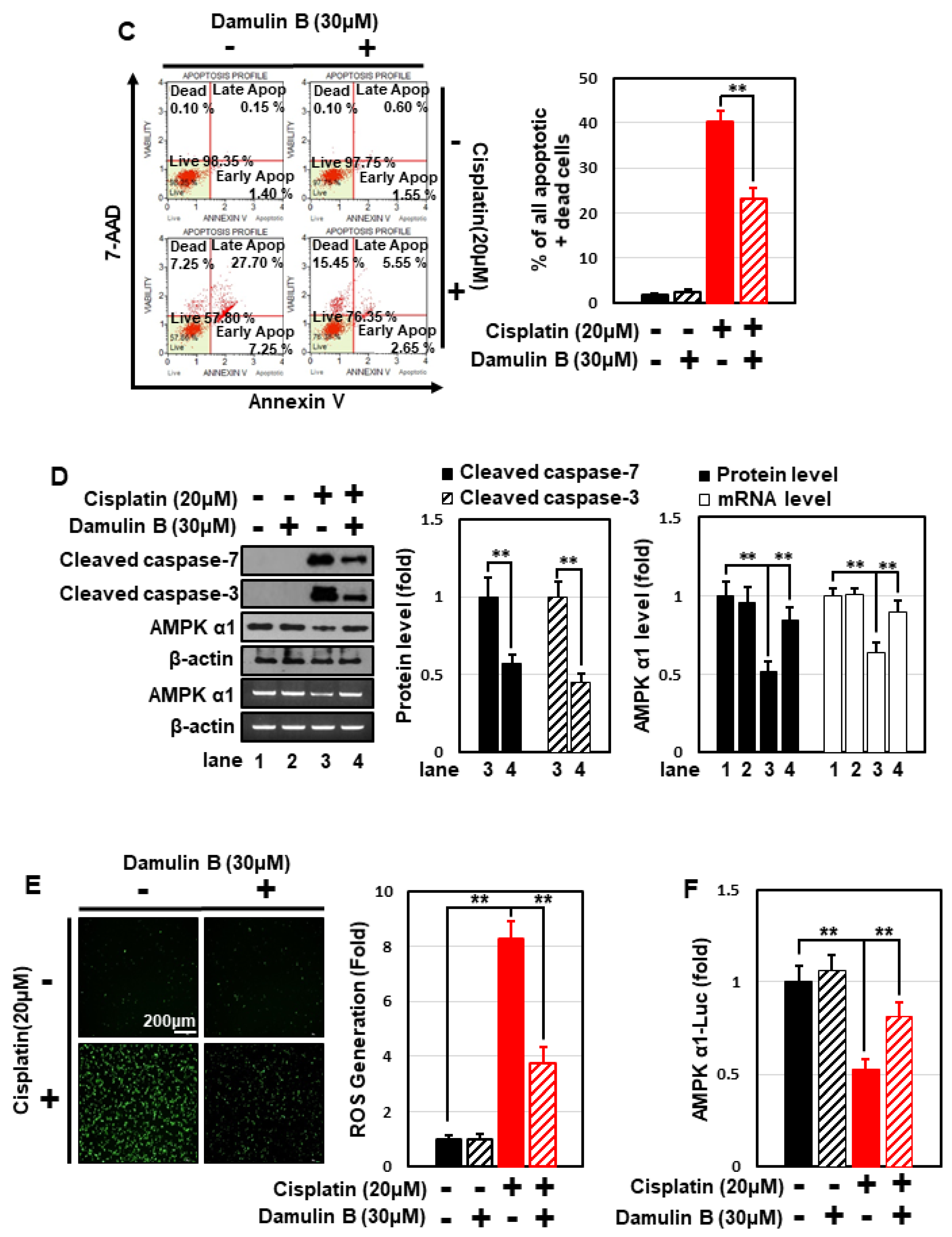 Nutrients 14 04997 g007b