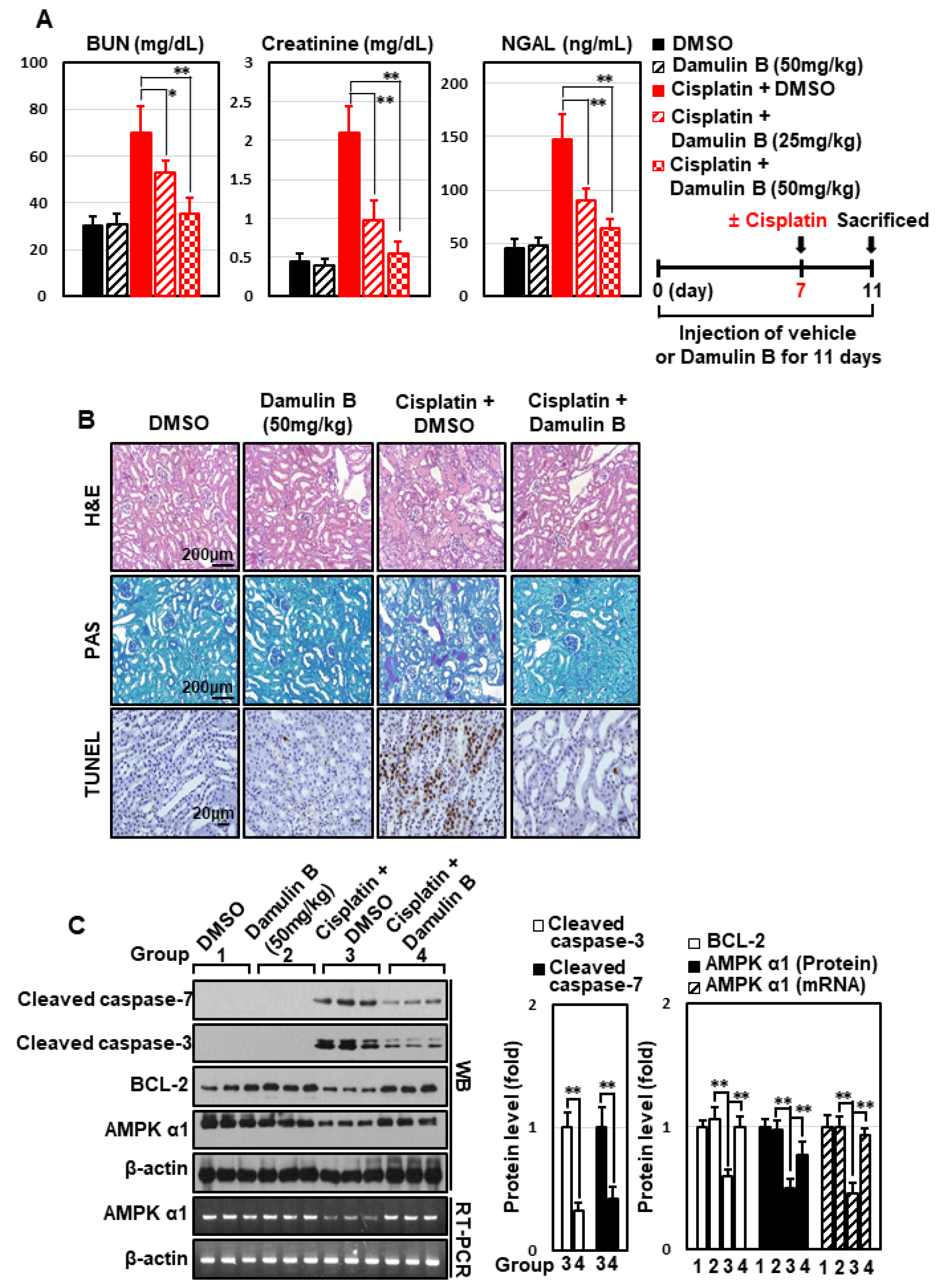 Nutrients 14 04997 g008