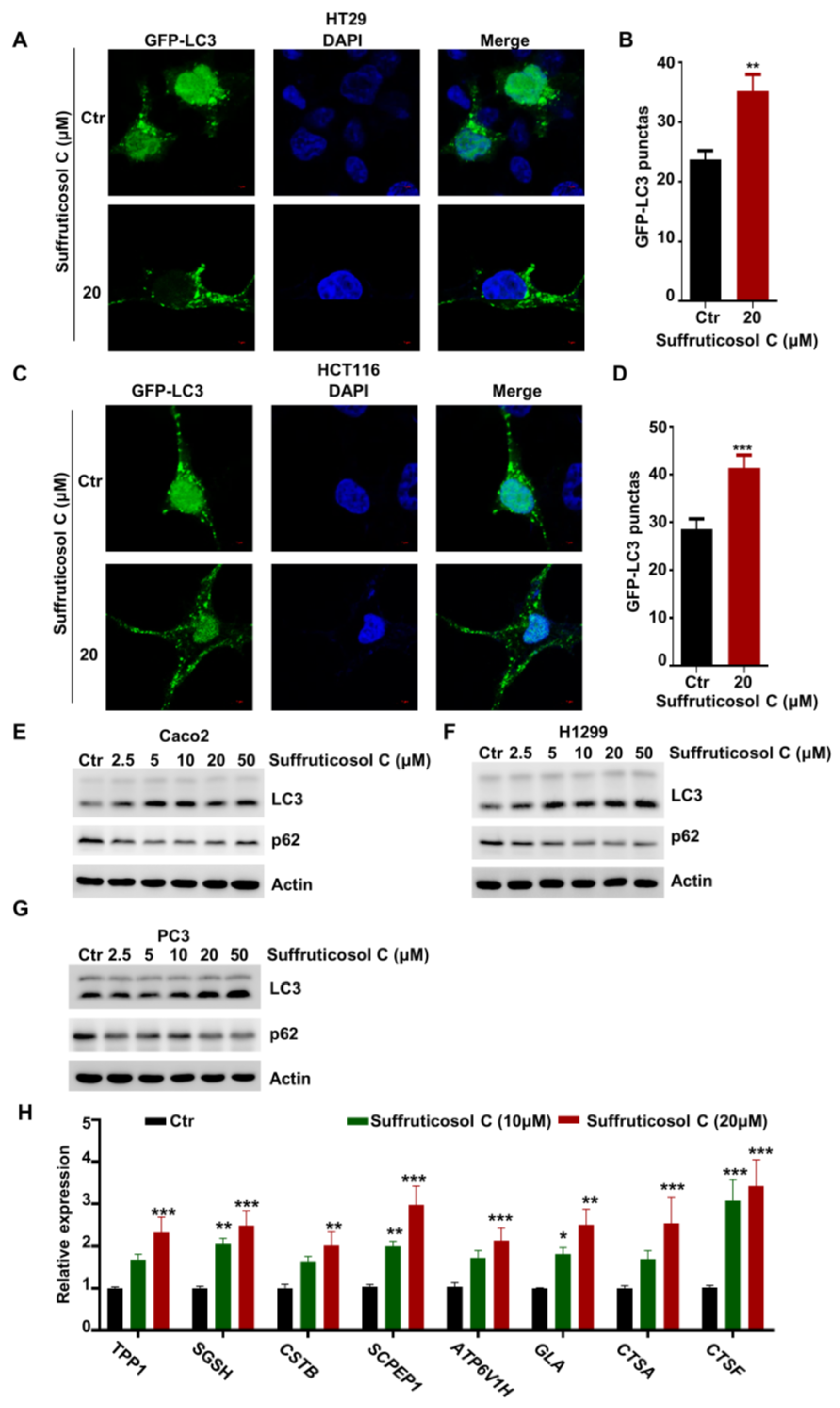 Nutrients 14 05000 g004 Nutrients 14 05000 g004