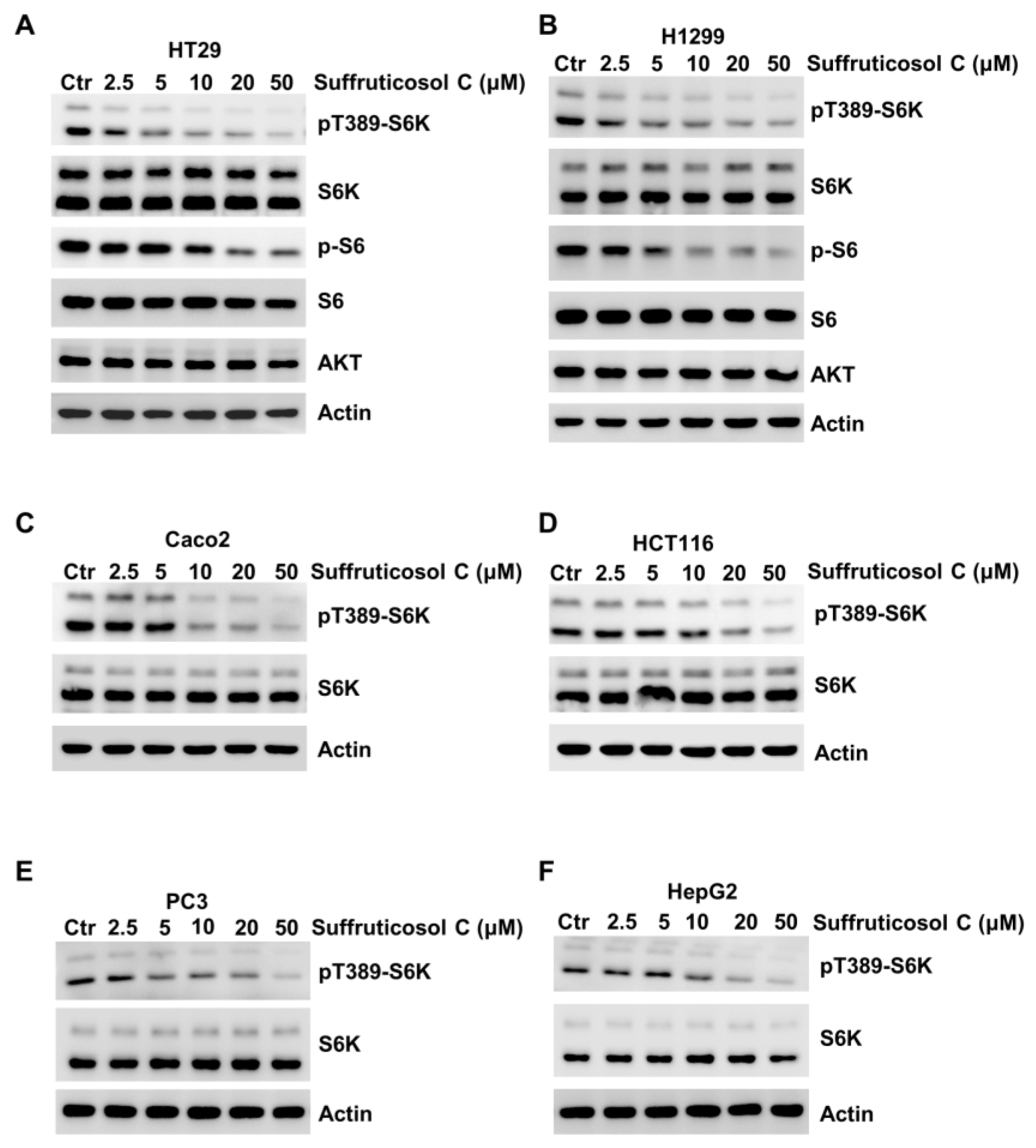 Nutrients 14 05000 g006 Nutrients 14 05000 g006