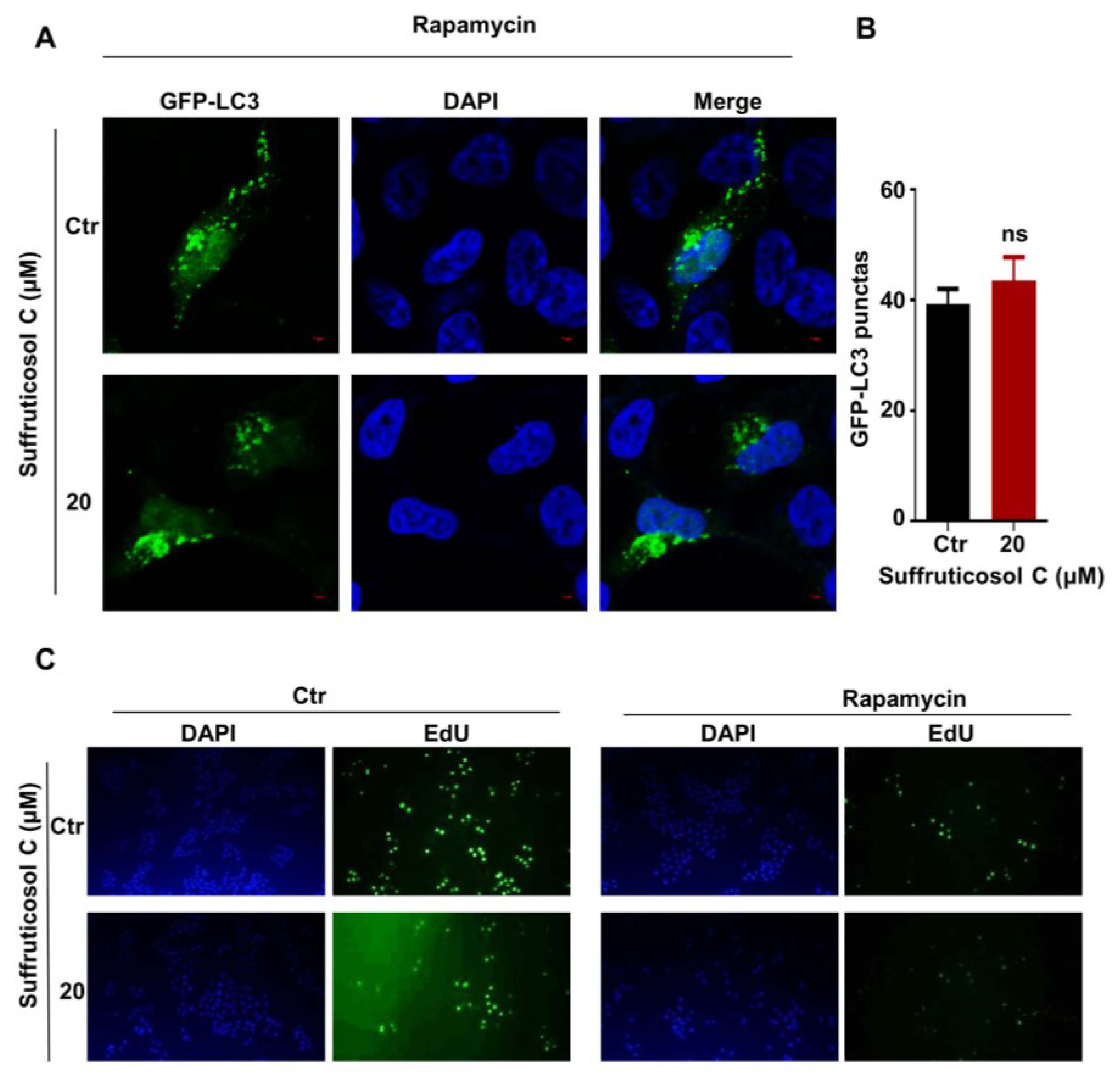 Nutrients 14 05000 g007 Nutrients 14 05000 g007