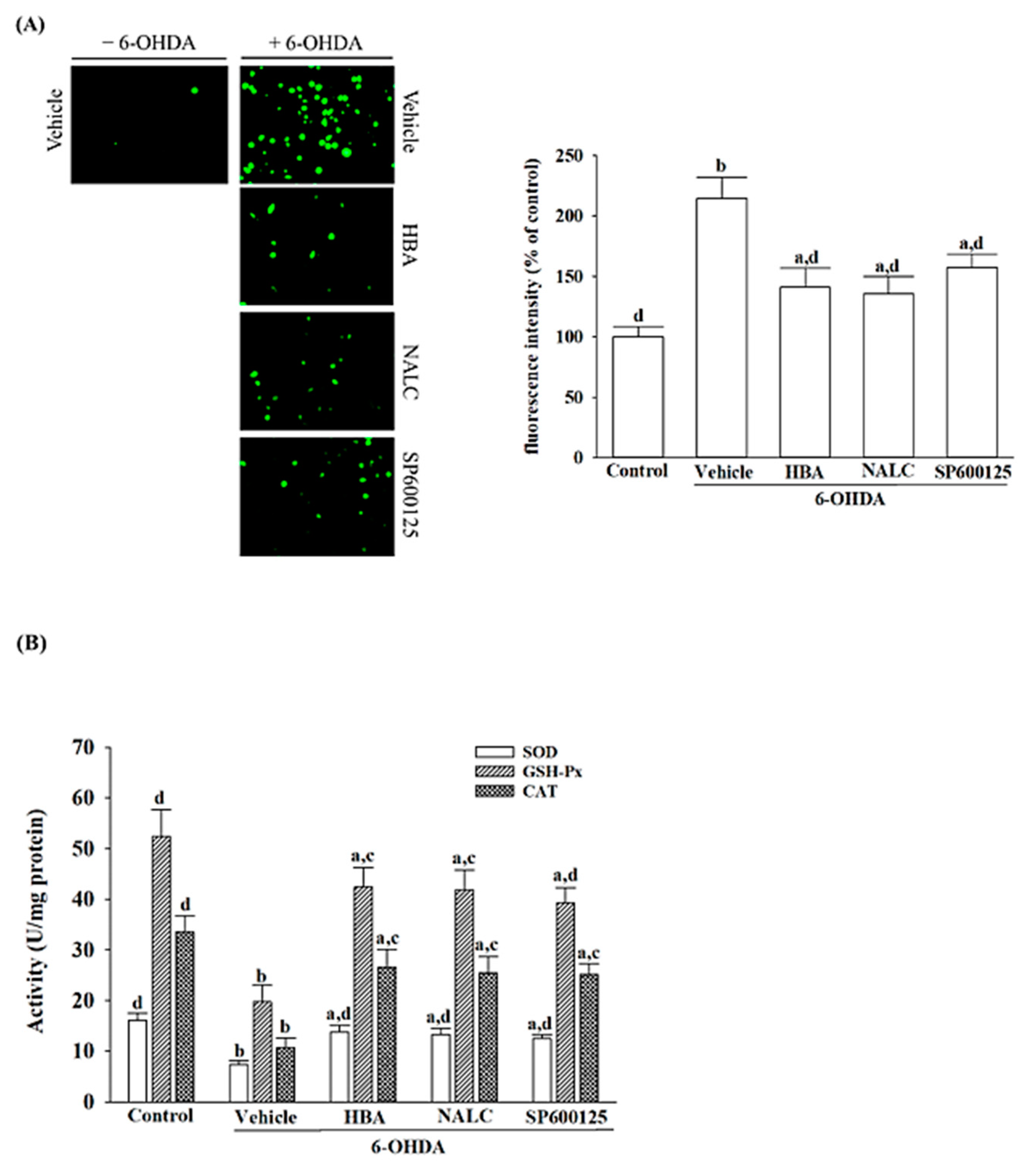 Nutrients 14 05002 g002