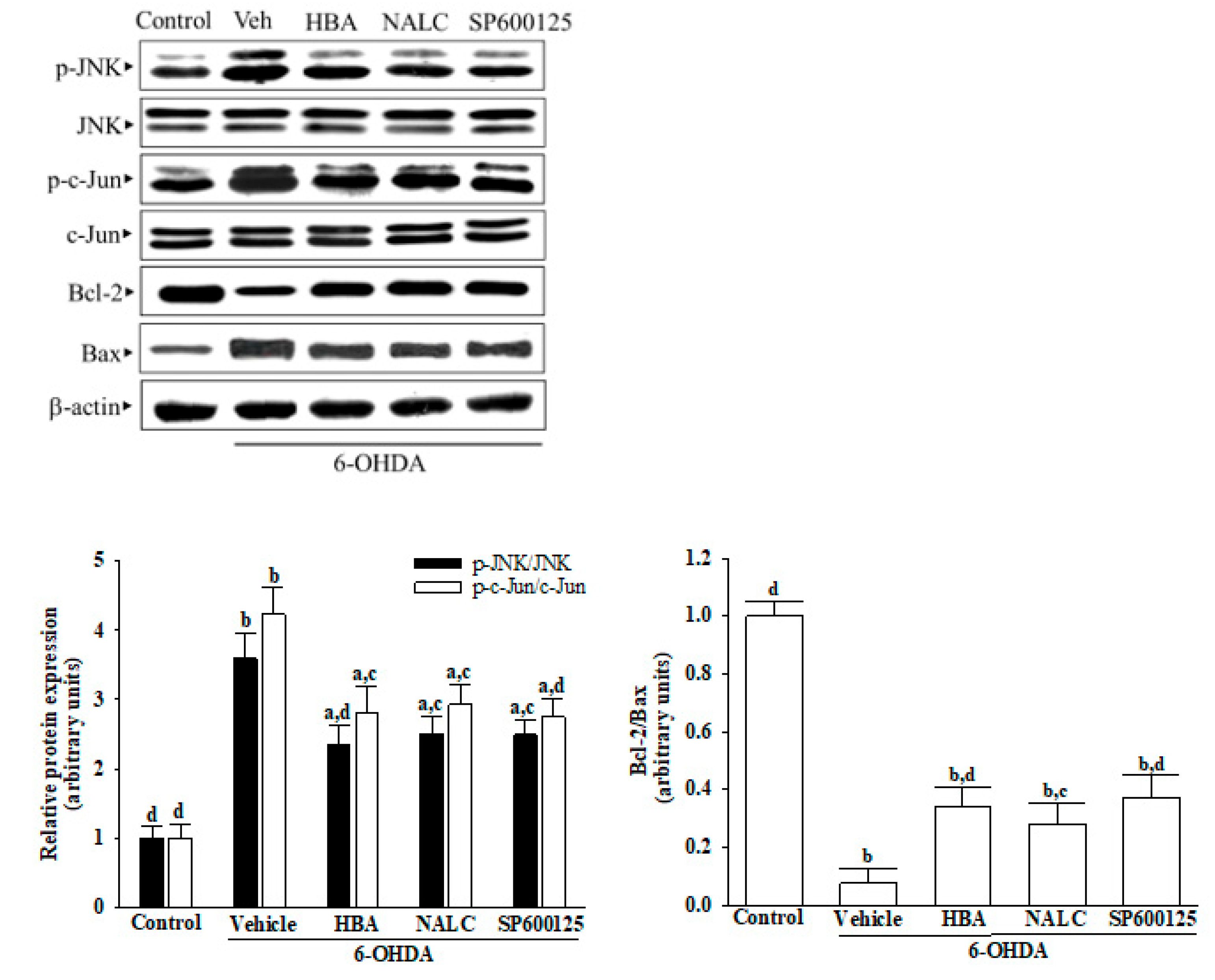 Nutrients 14 05002 g005
