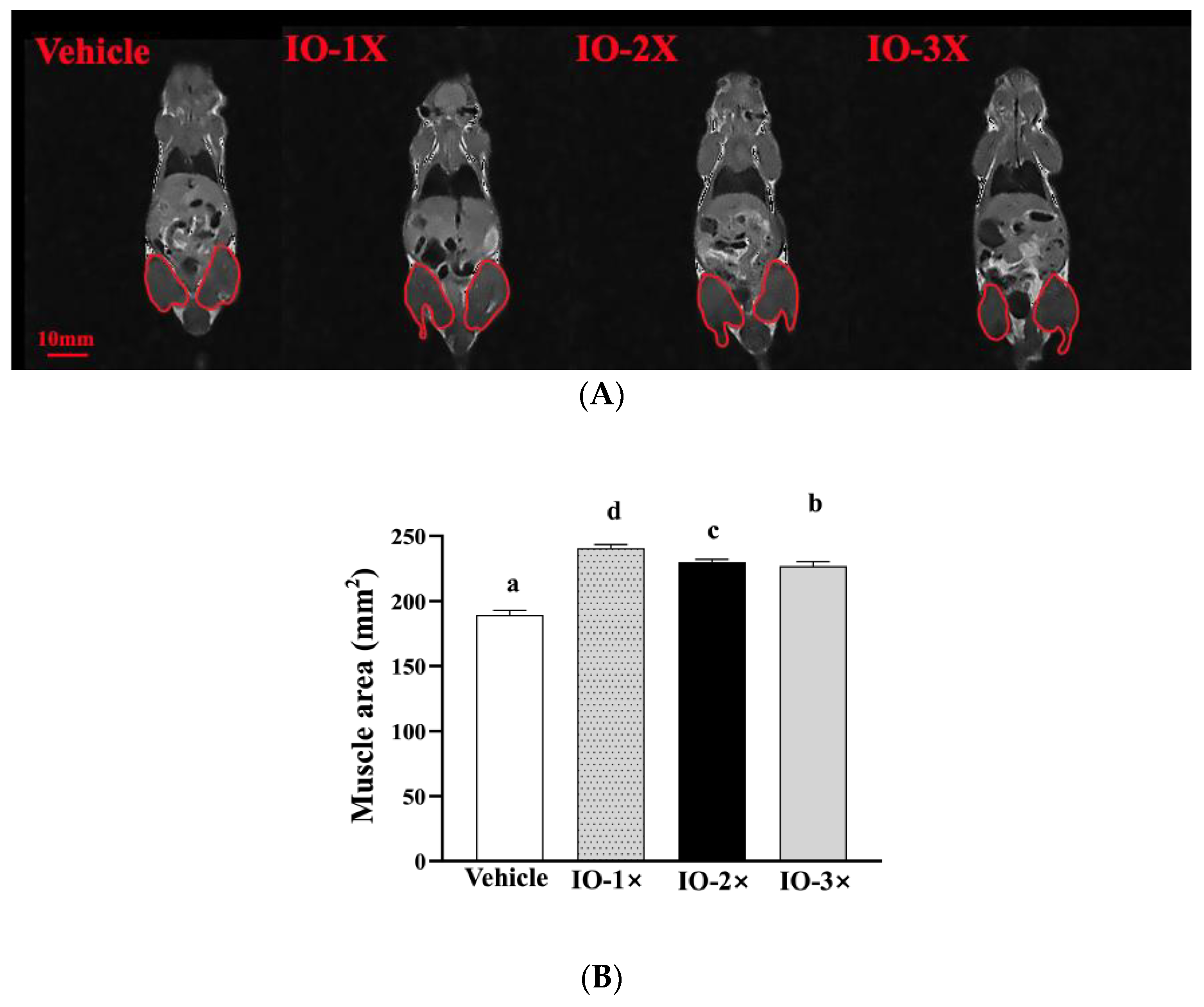 Nutrients 14 05007 g002 Nutrients 14 05007 g002