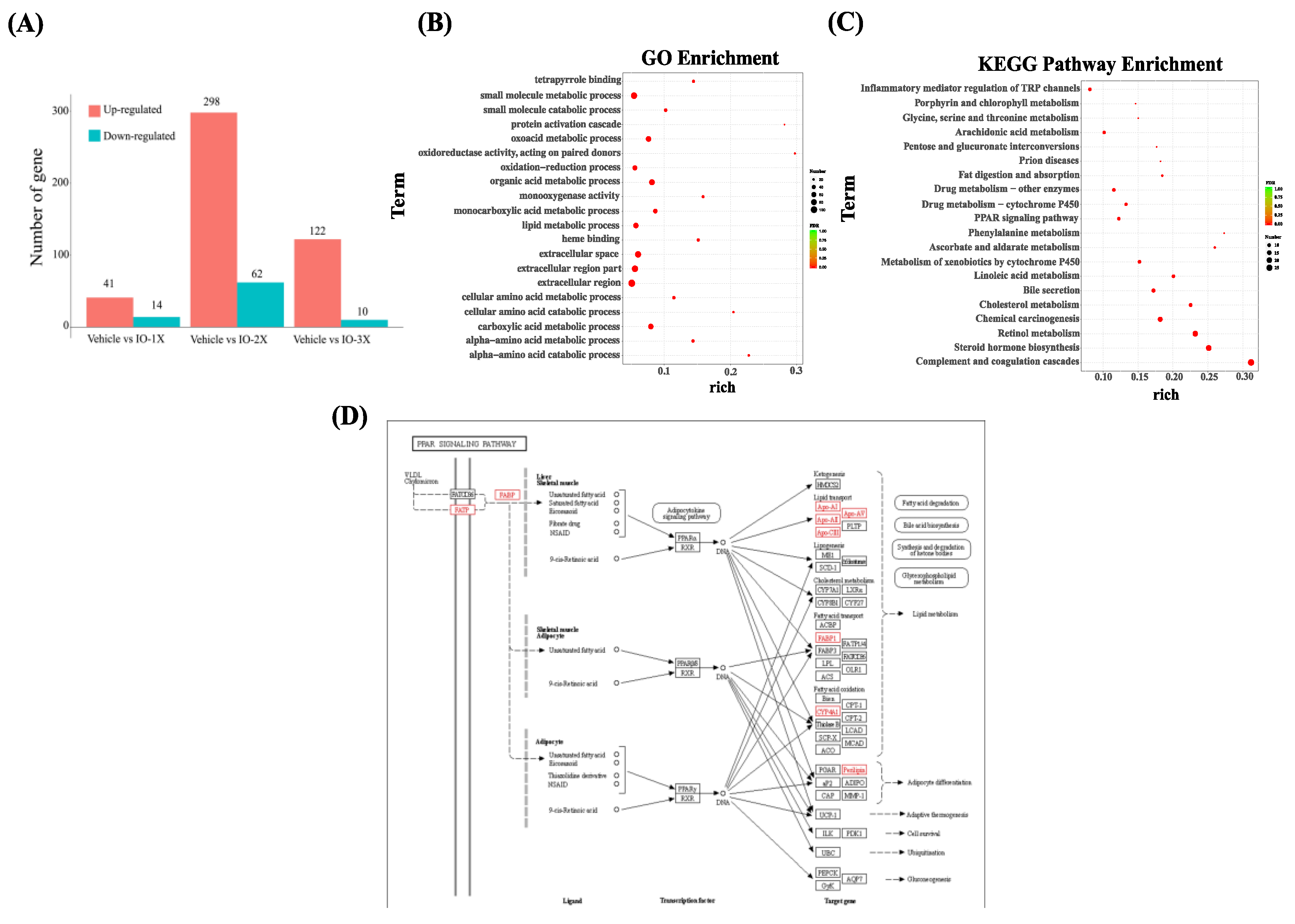 Nutrients 14 05007 g007 Nutrients 14 05007 g007