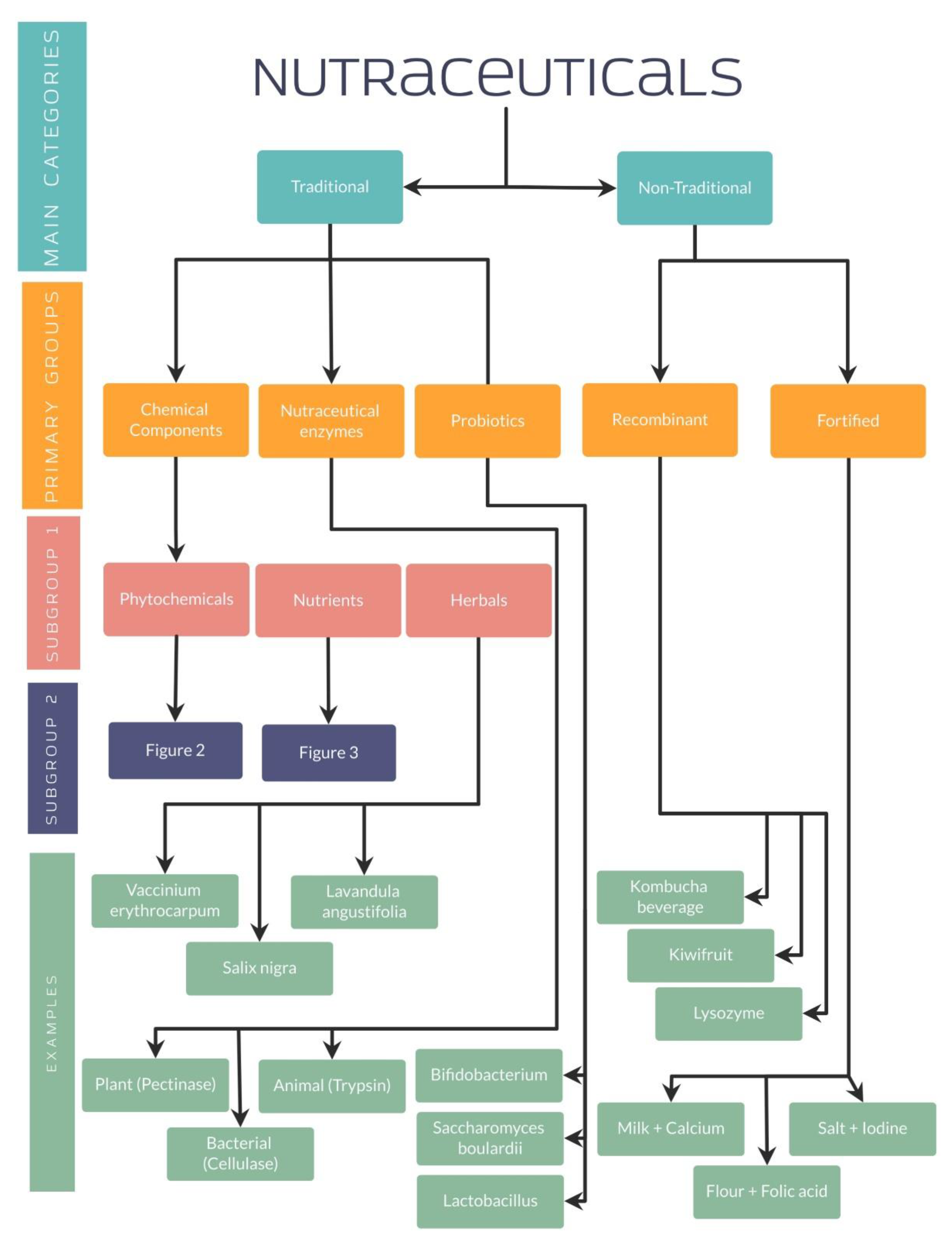 Nutrients 14 05014 g001 Nutrients 14 05014 g001