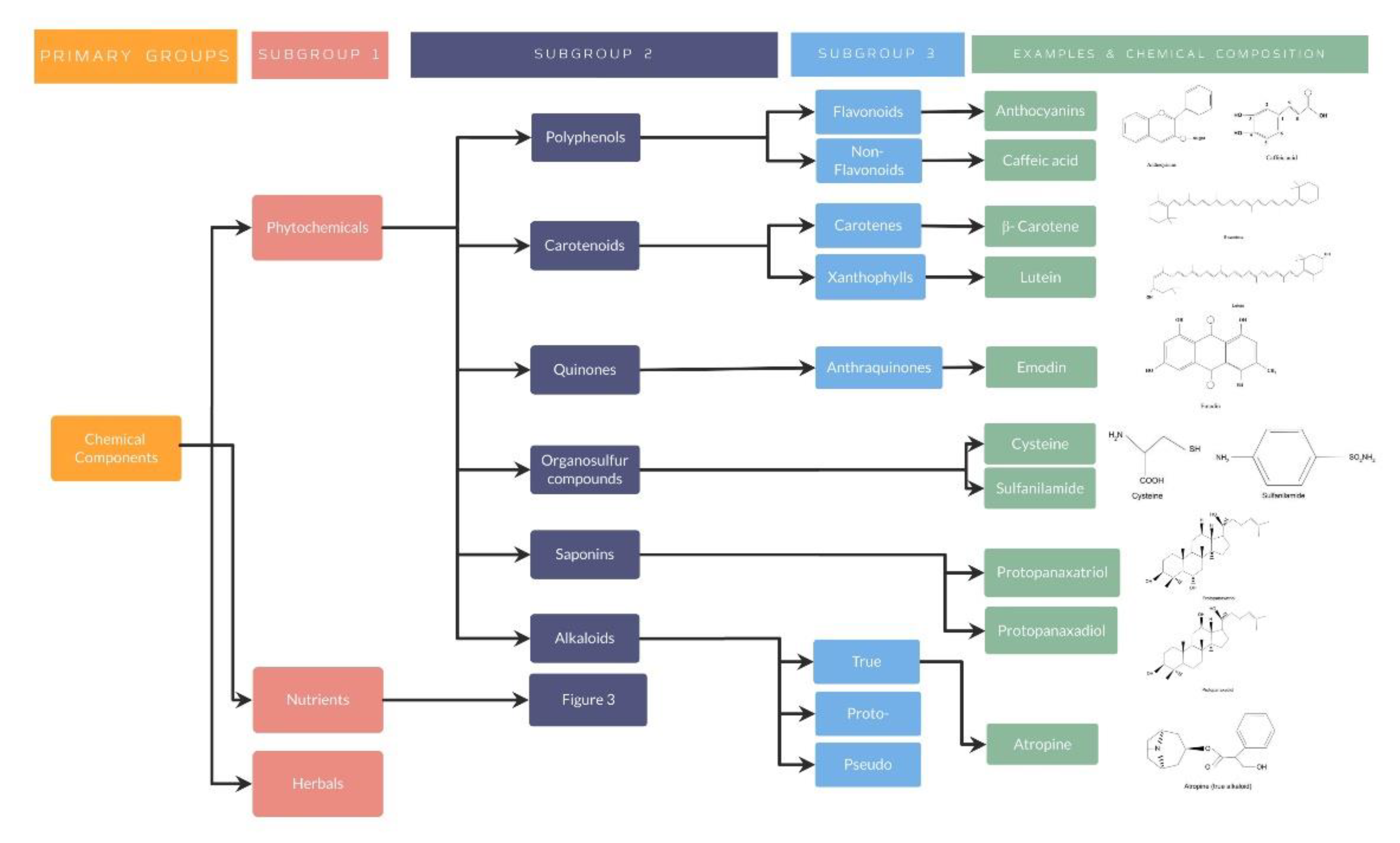 Nutrients 14 05014 g002 Nutrients 14 05014 g002