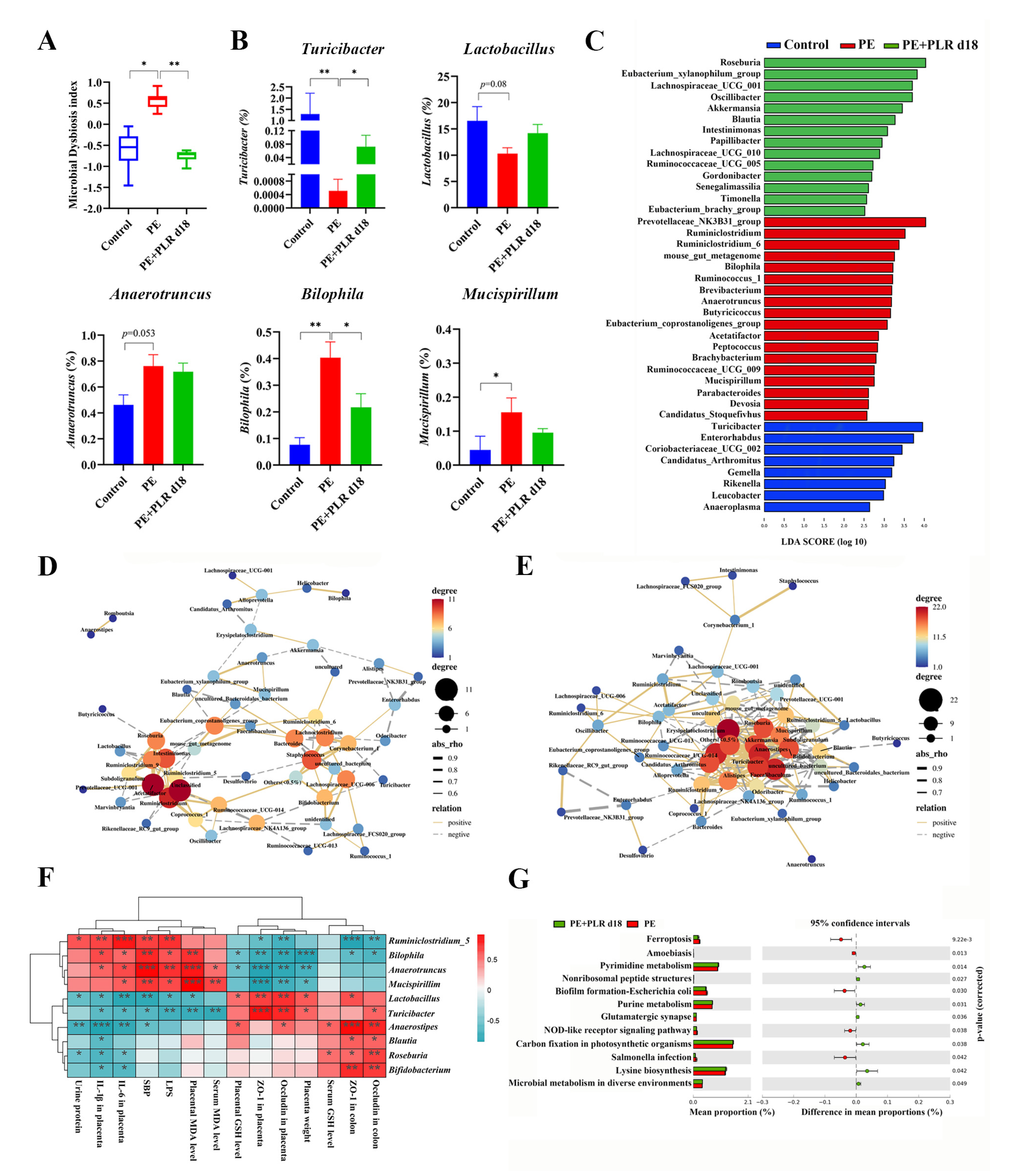 Nutrients 14 05025 g007