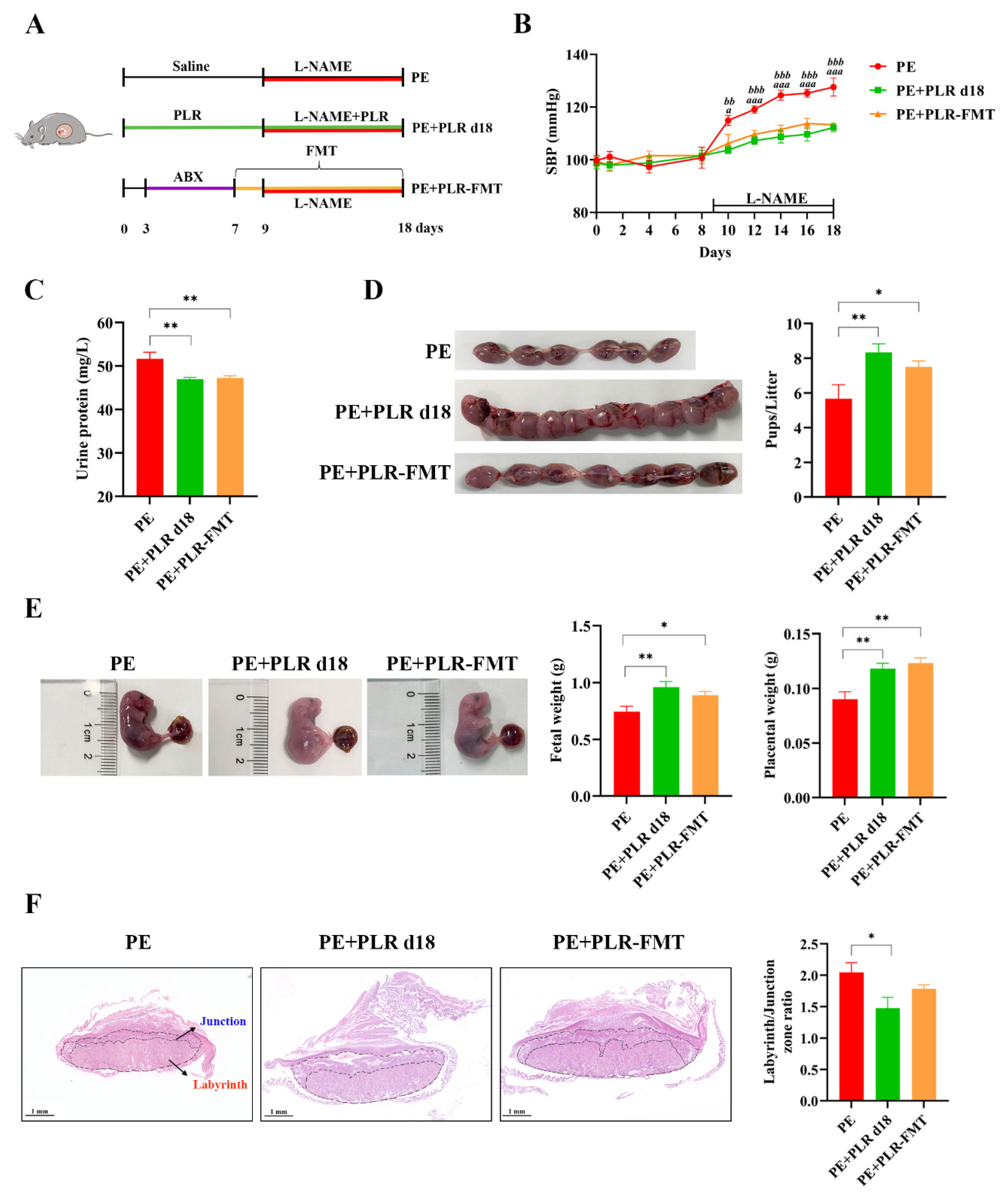 Nutrients 14 05025 g008