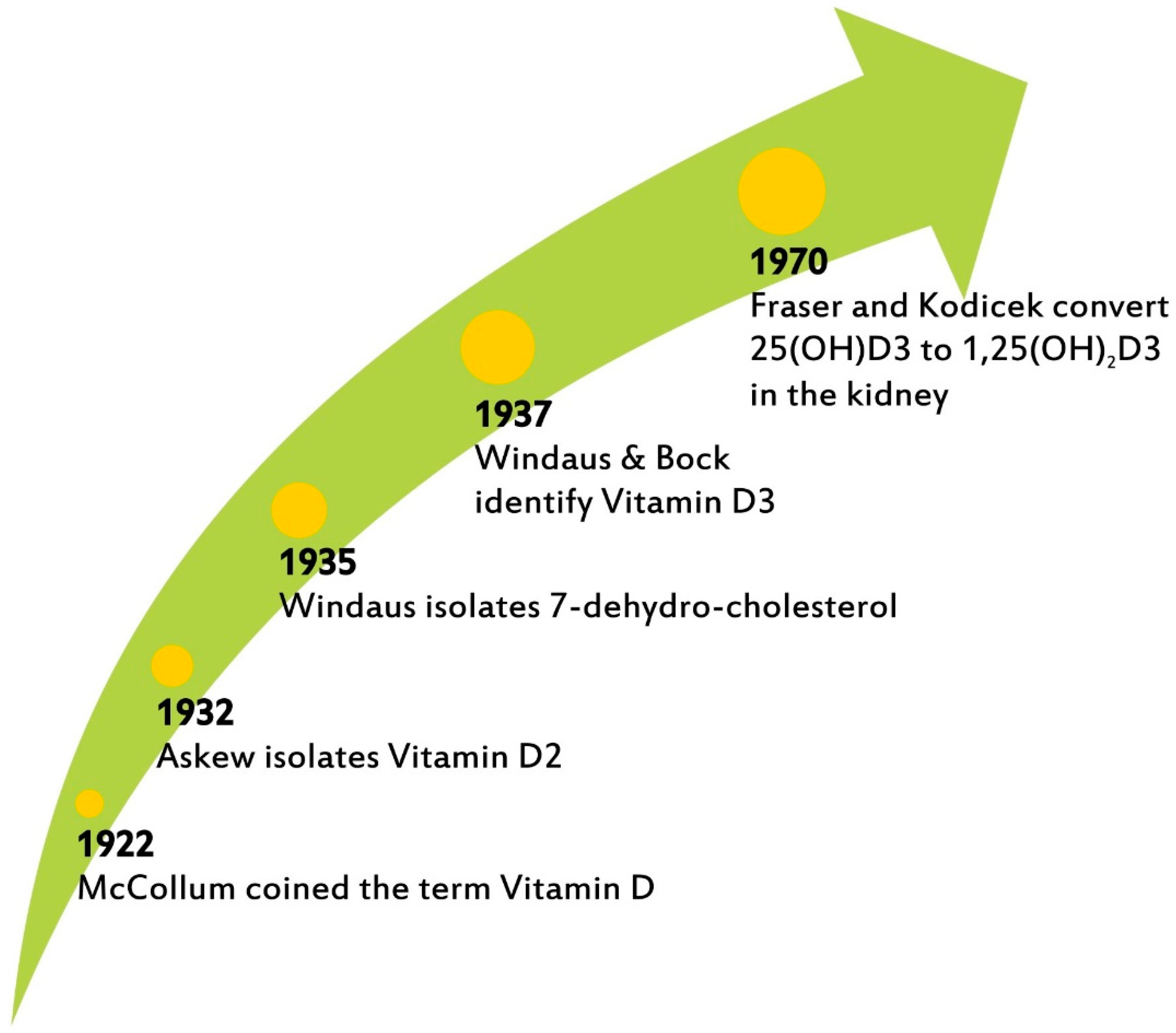 Nutrients 14 05032 g001 Nutrients 14 05032 g001