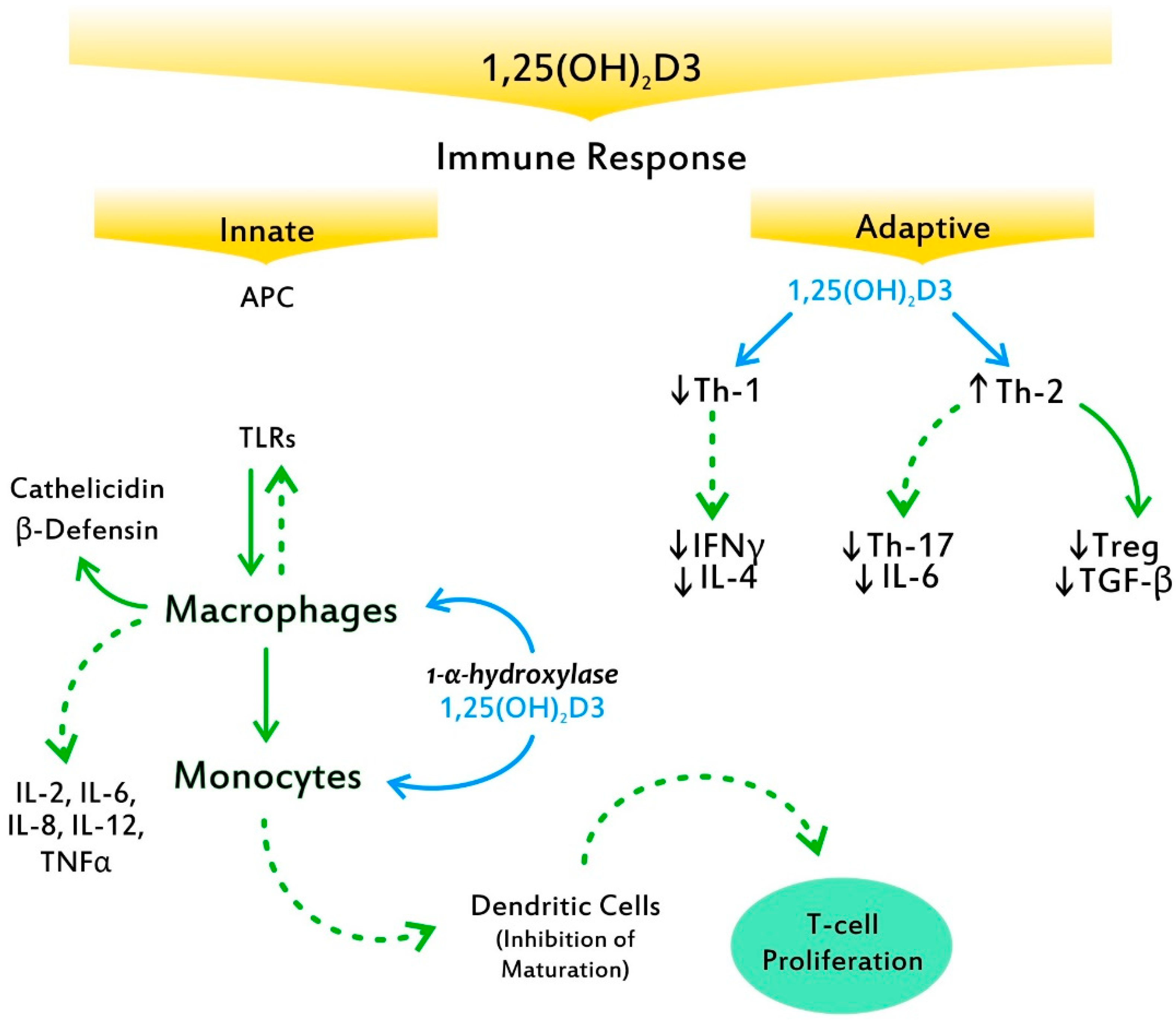 Nutrients 14 05032 g003 Nutrients 14 05032 g003