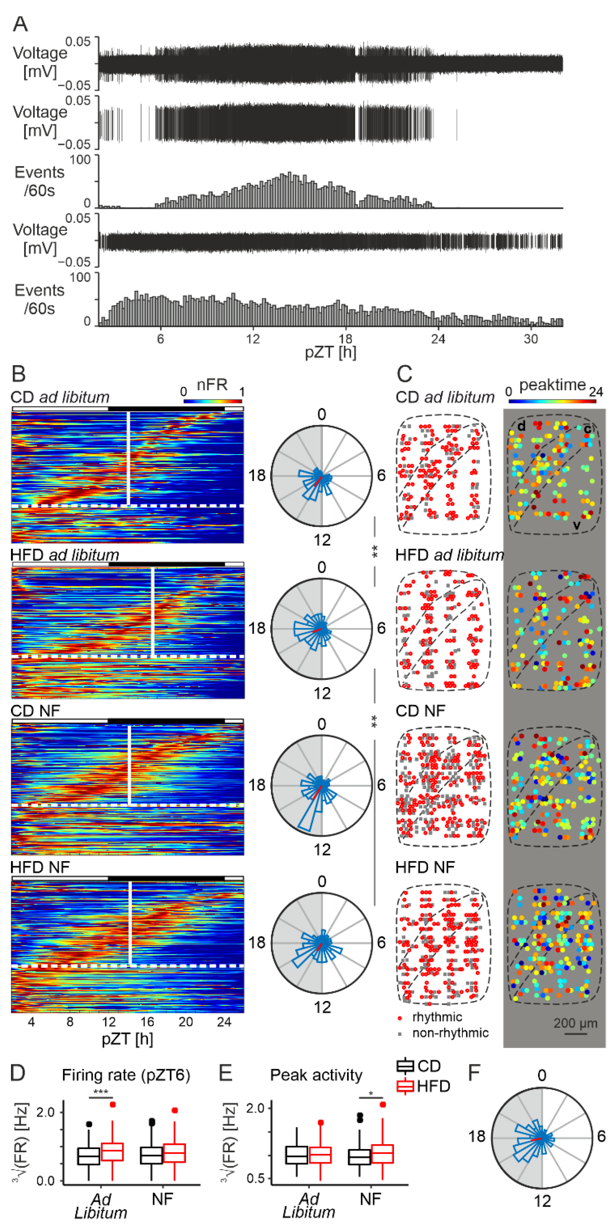 Nutrients 14 05034 g004 Nutrients 14 05034 g004