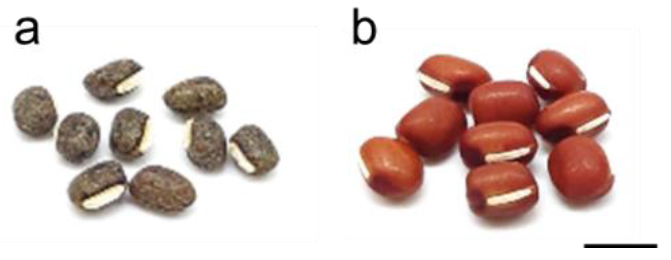 Nutrients 14 05049 g001 Nutrients 14 05049 g001