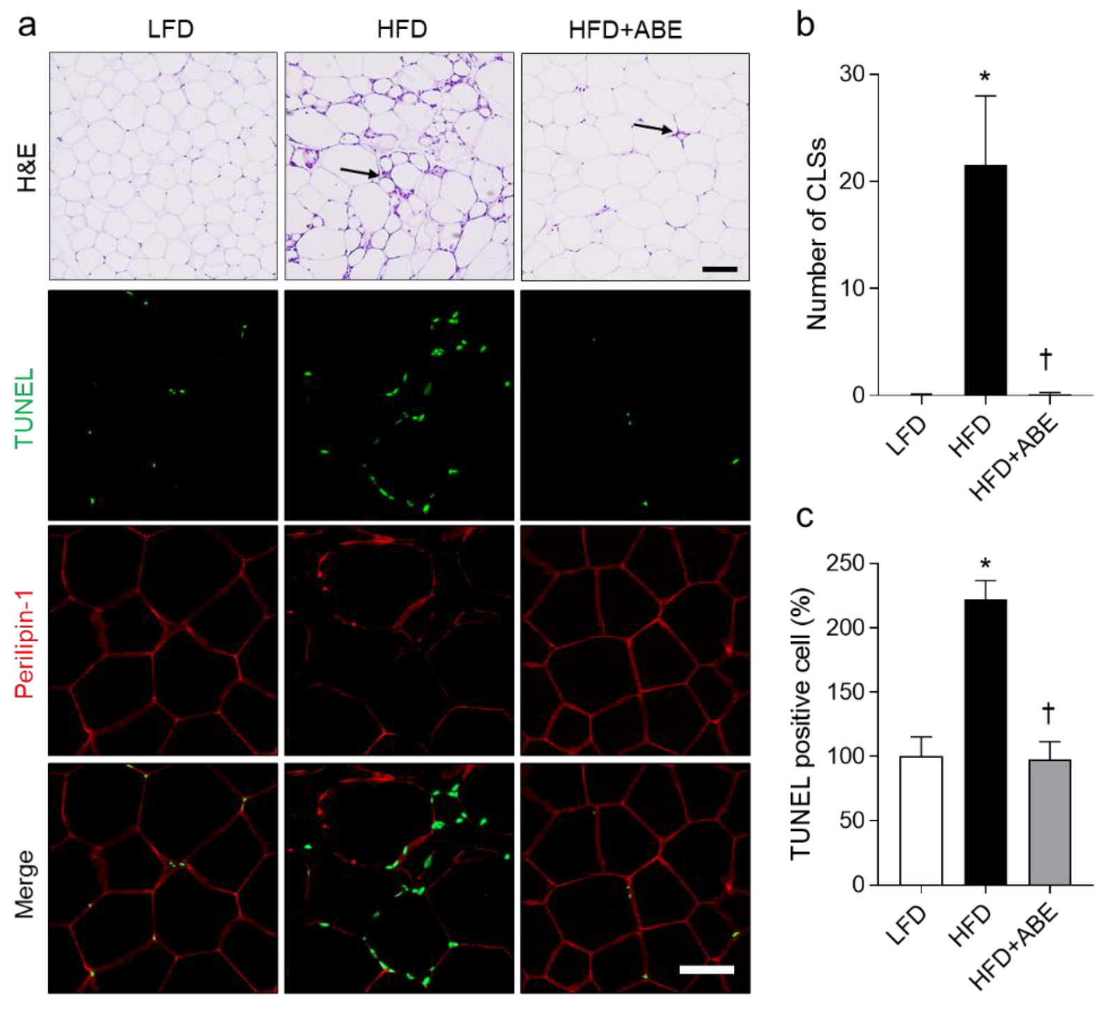 Nutrients 14 05049 g004 Nutrients 14 05049 g004