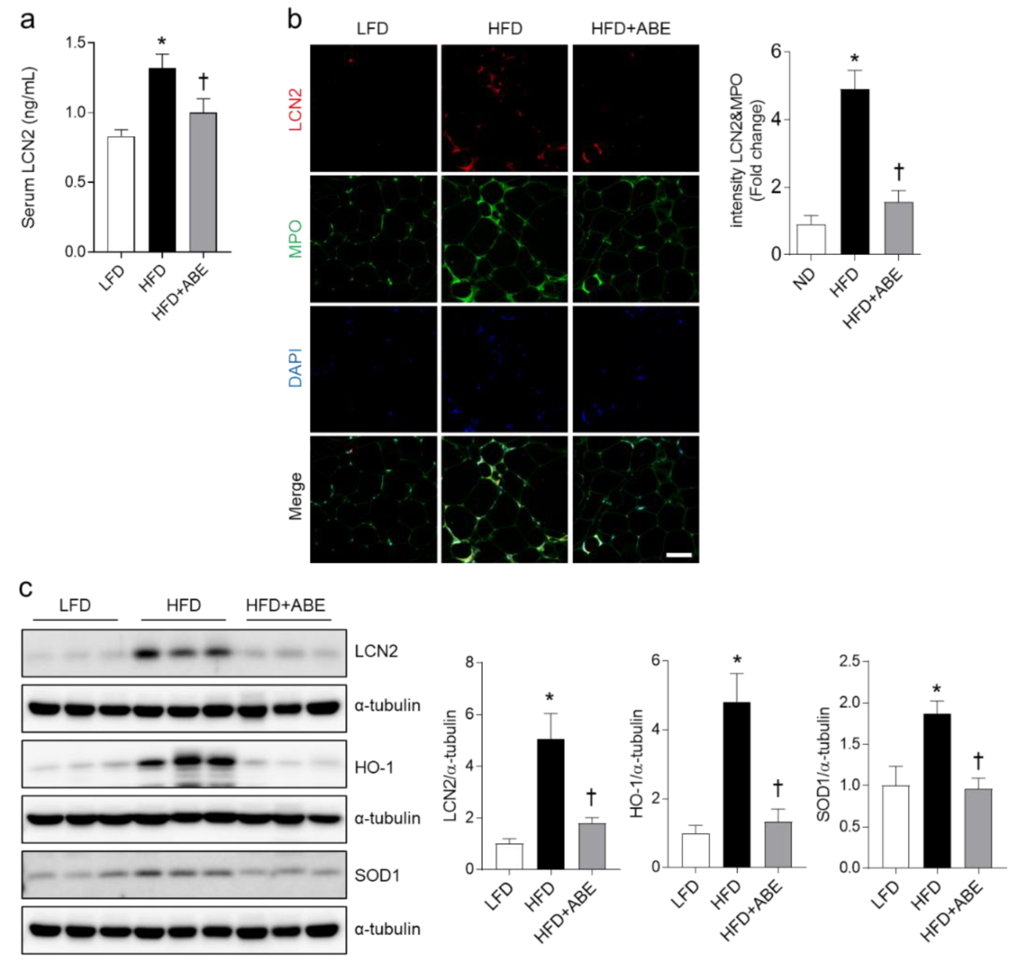 Nutrients 14 05049 g005 Nutrients 14 05049 g005