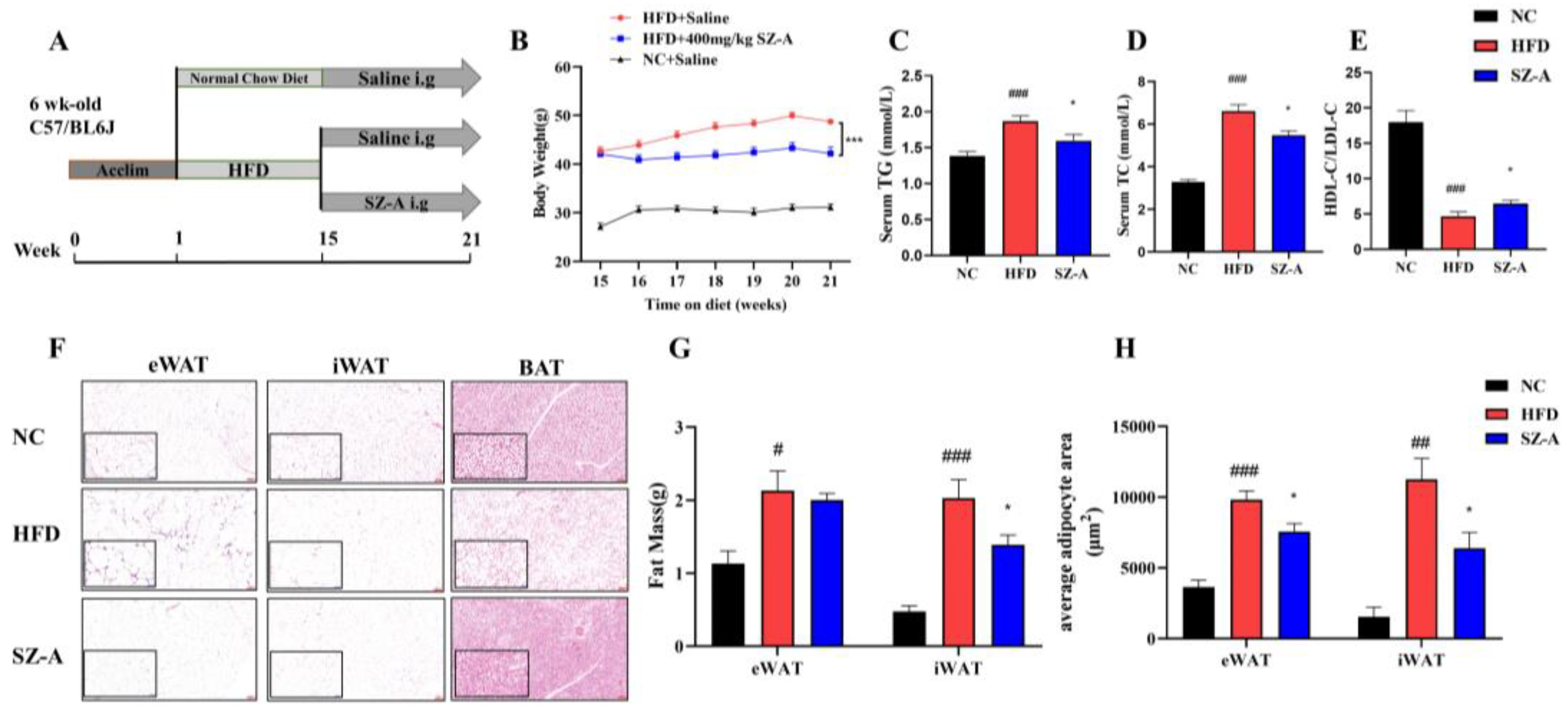 Nutrients 14 05050 g001