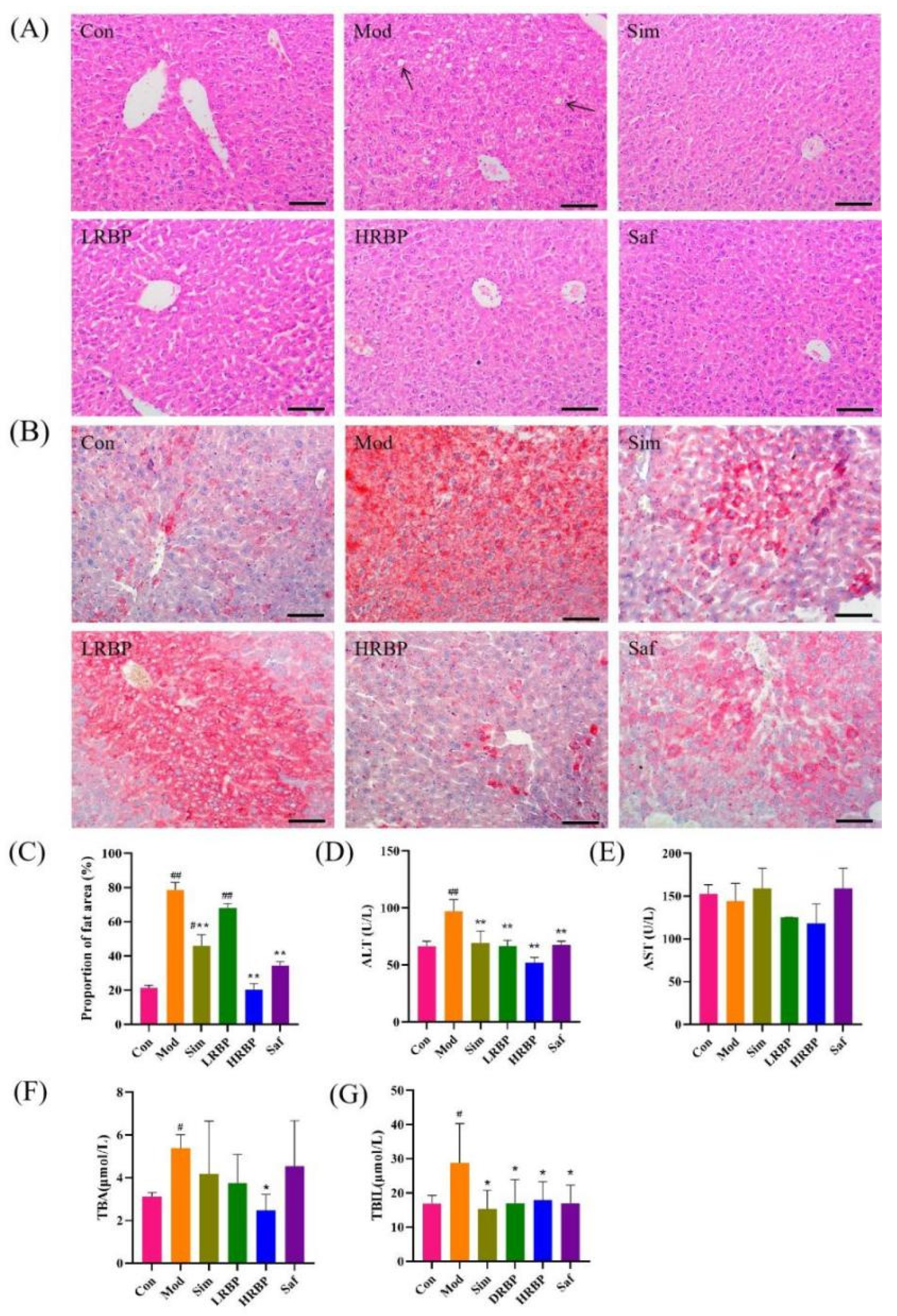 Nutrients 14 05066 g003 Nutrients 14 05066 g003